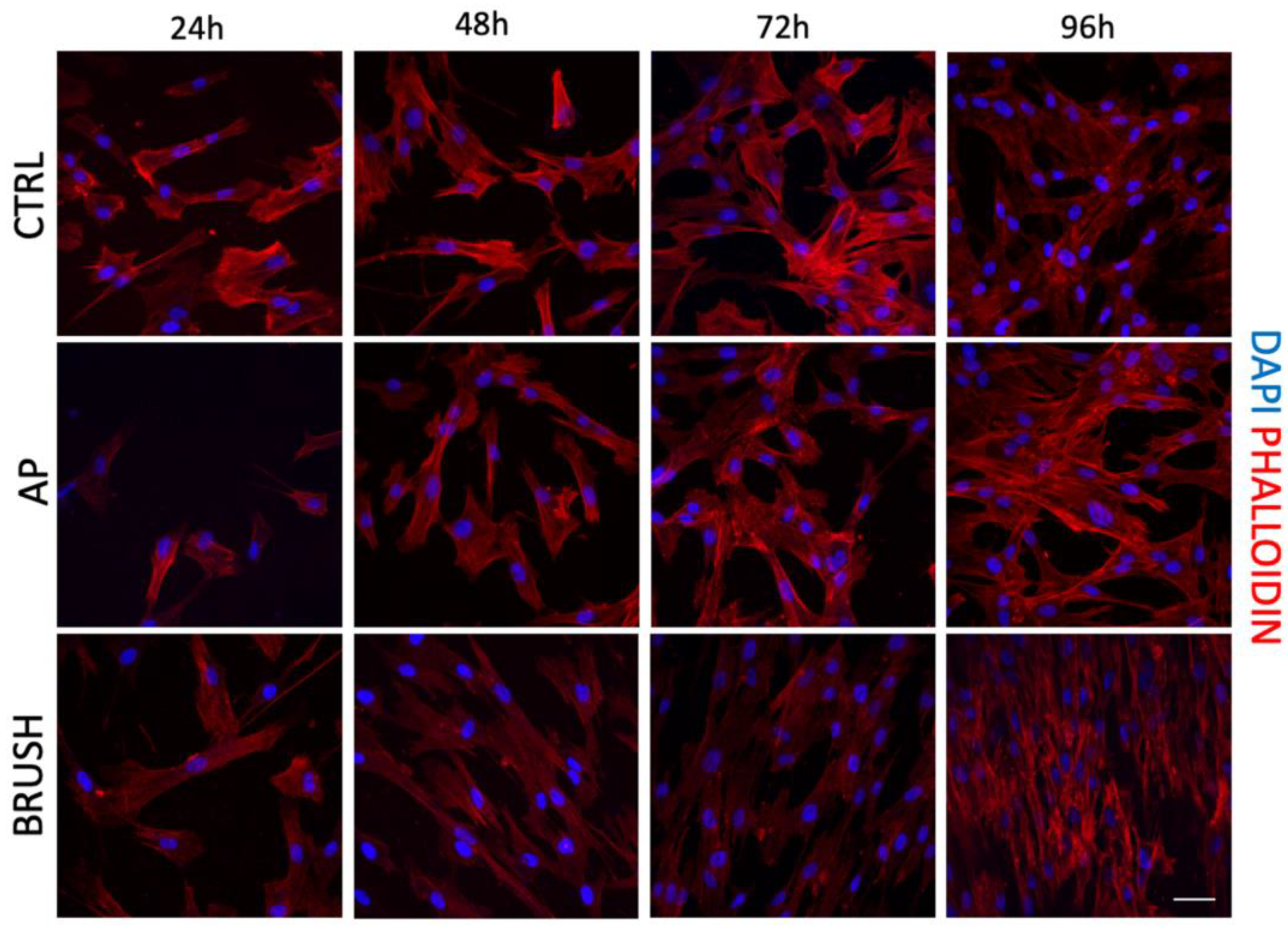 Nanomaterials 14 00392 g003