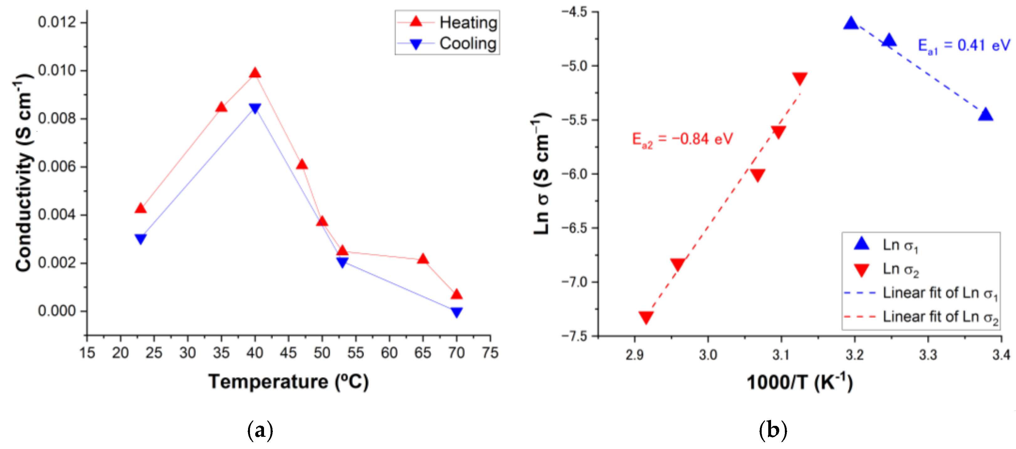 Nanomaterials 14 00398 g007