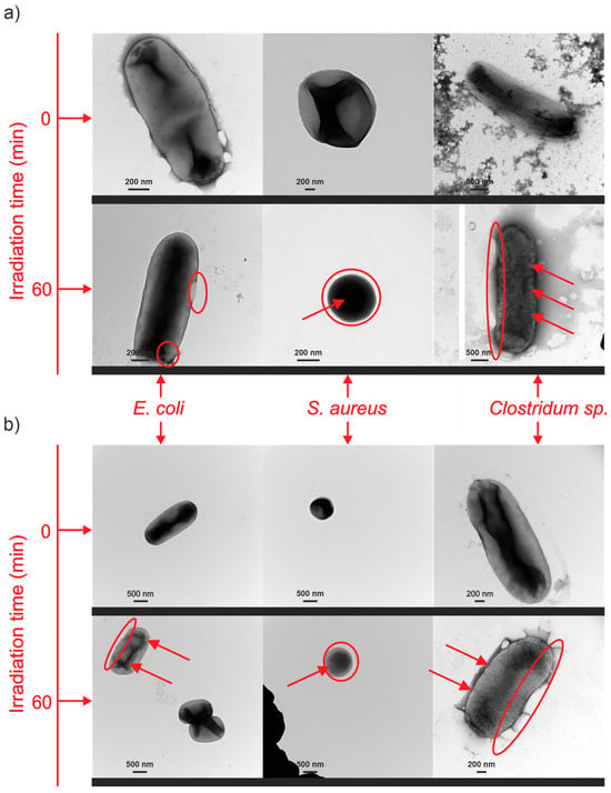 Nanomaterials | Free Full-Text | Detailed Insight into Photocatalytic ...