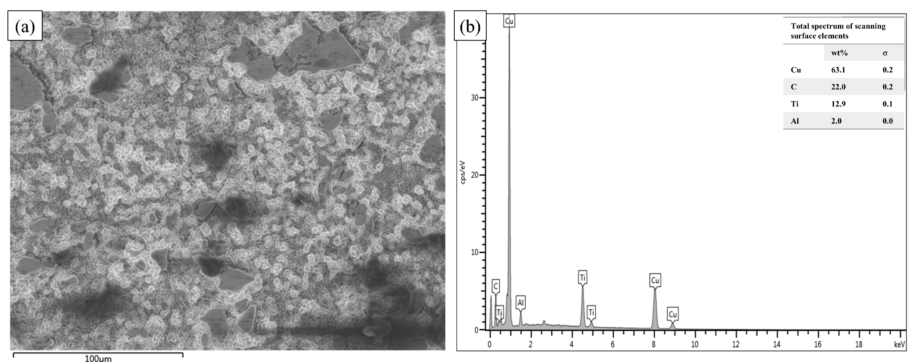 Nanomaterials 14 00418 g007