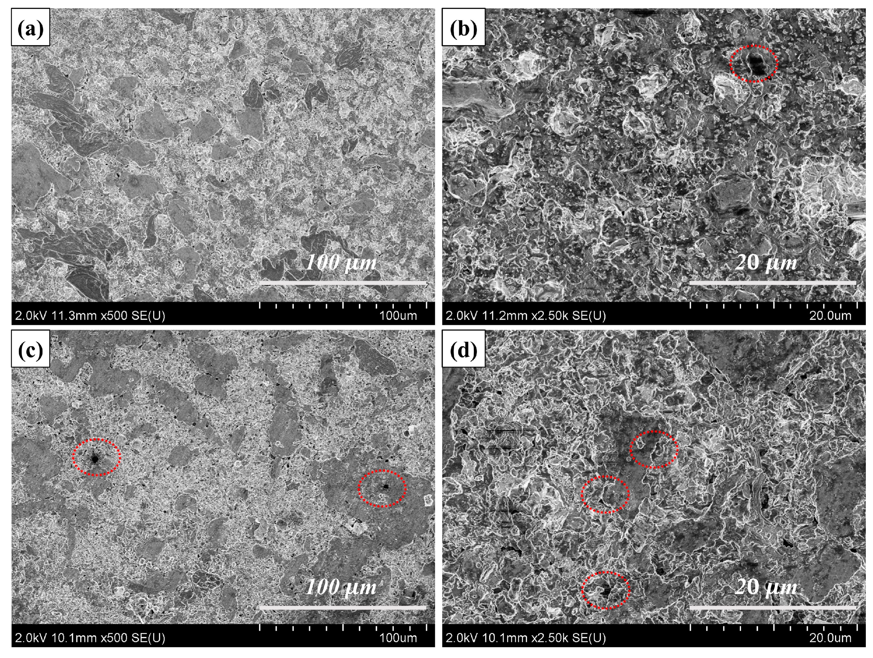 Nanomaterials 14 00418 g008
