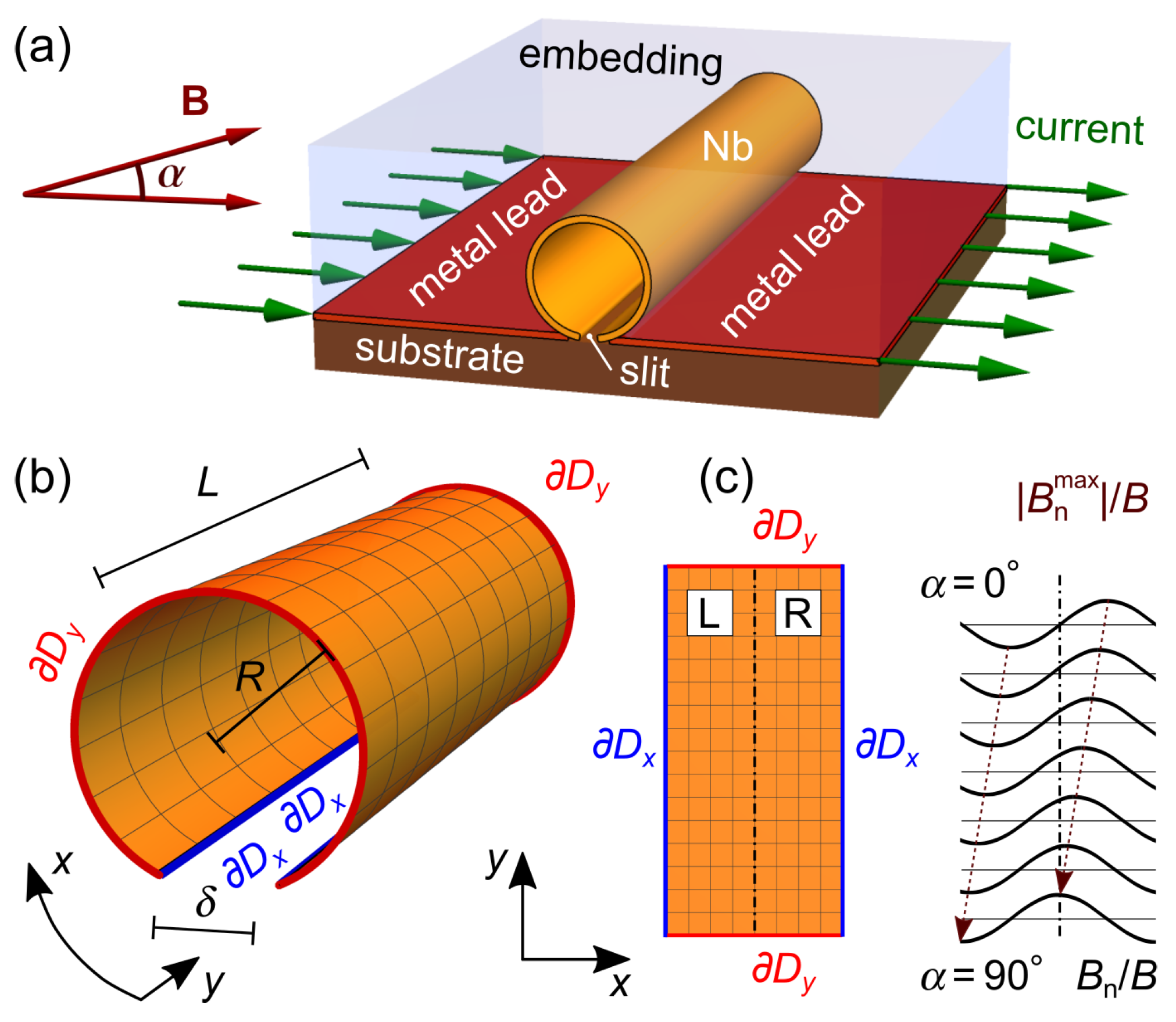 Nanomaterials 14 00420 g001