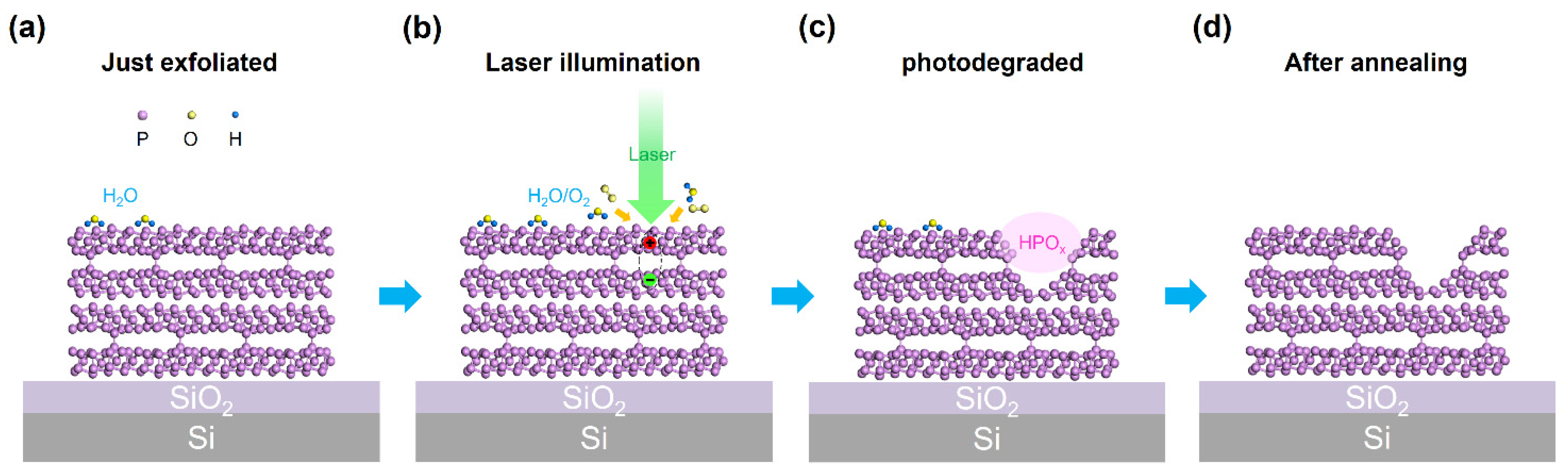 Nanomaterials 14 00422 g005