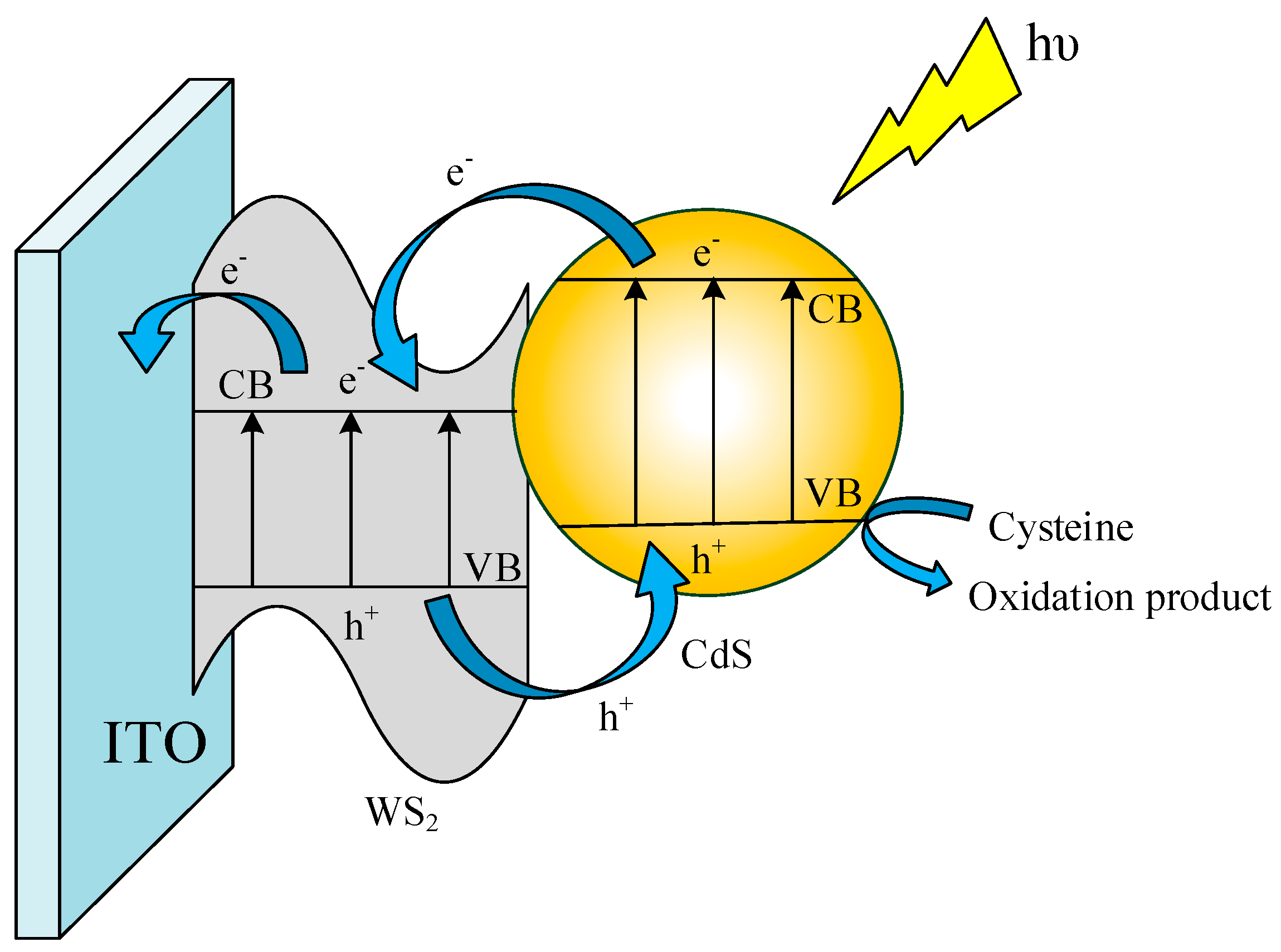 Nanomaterials 14 00427 sch003
