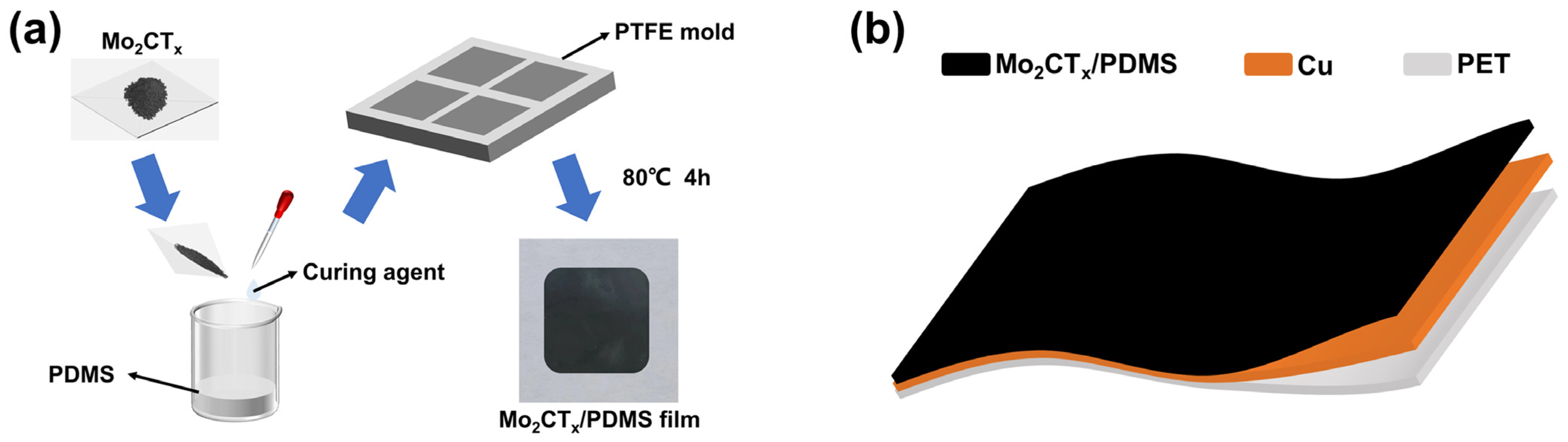 Nanomaterials 14 00428 g001