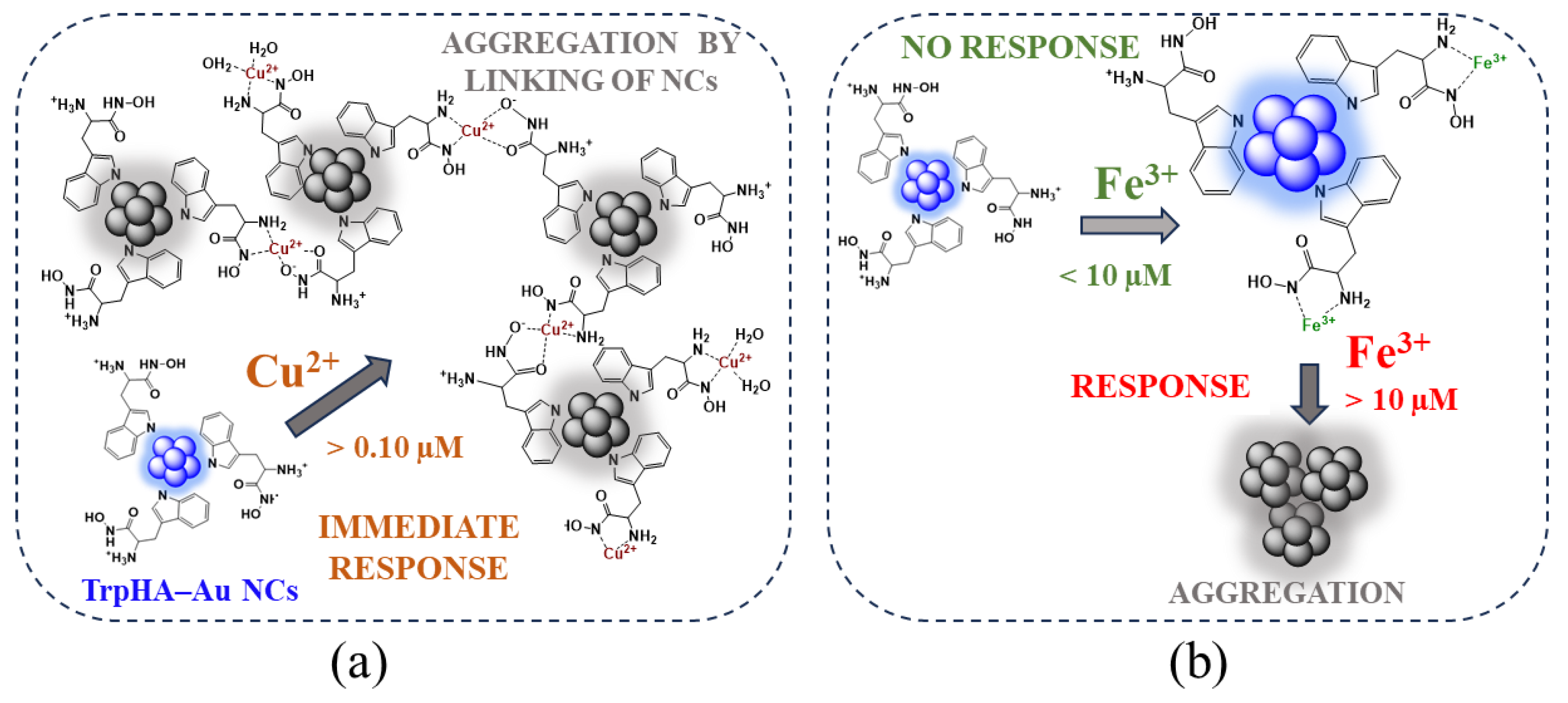 Nanomaterials 14 00434 g008