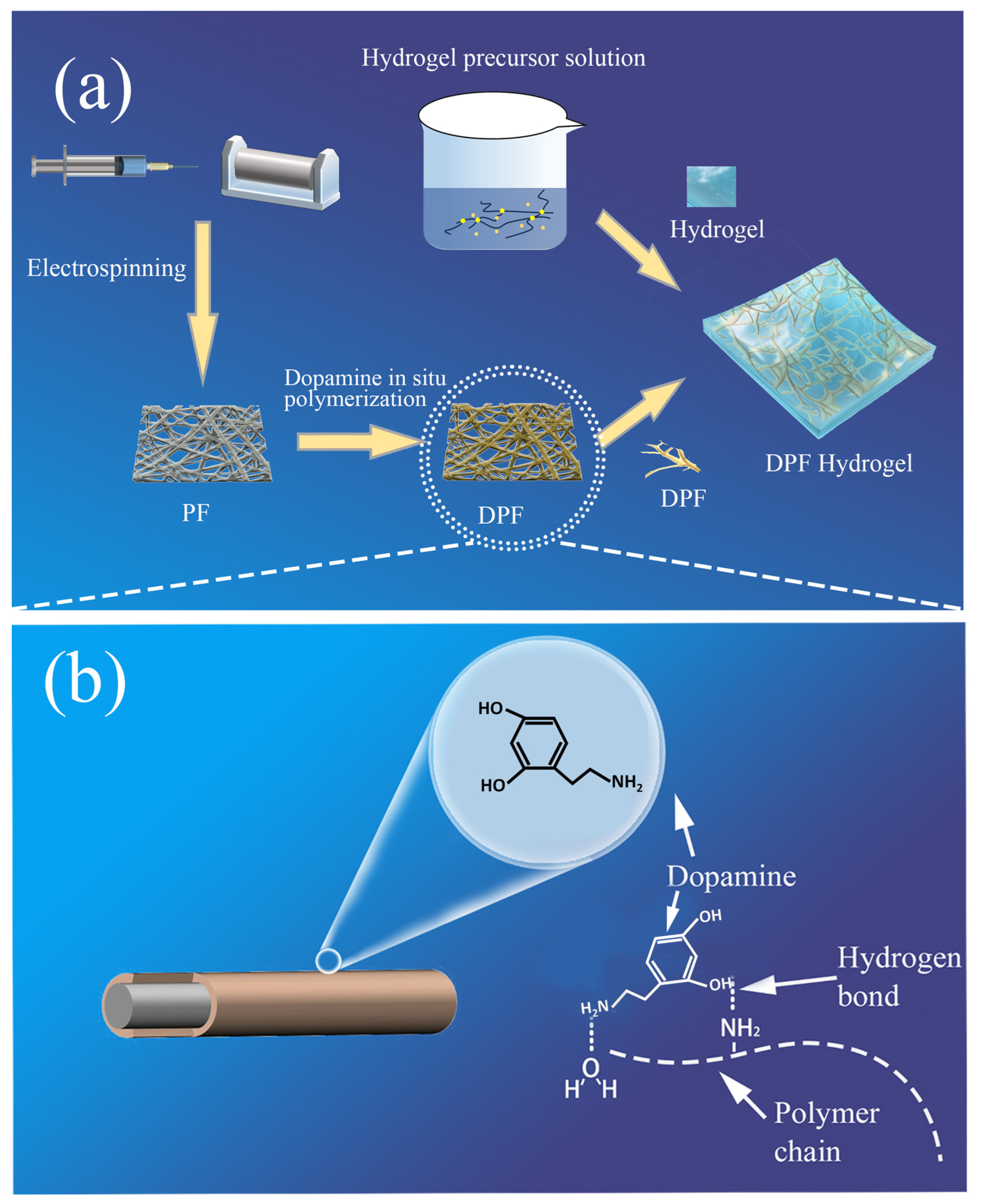 Nanomaterials 14 00438 g001