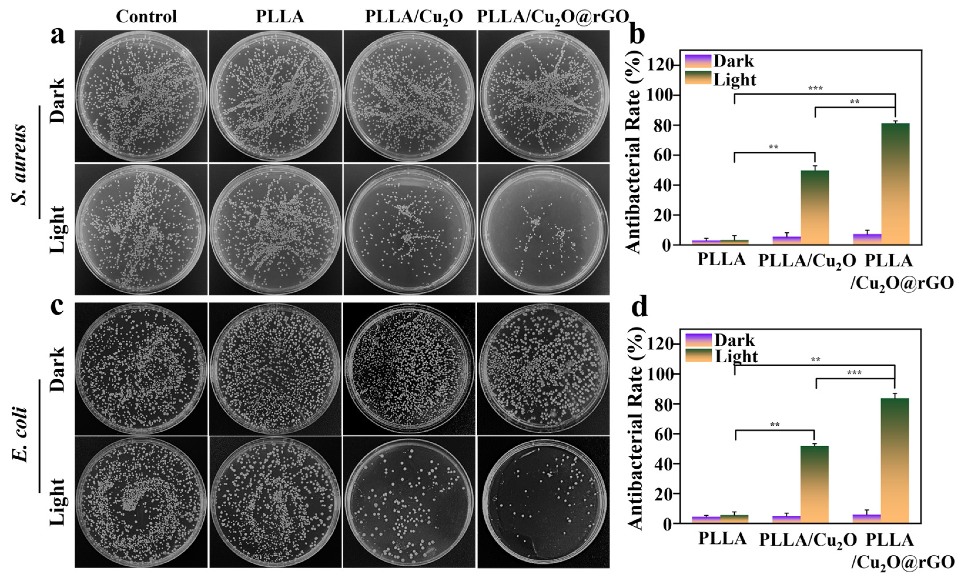 Nanomaterials 14 00452 g005