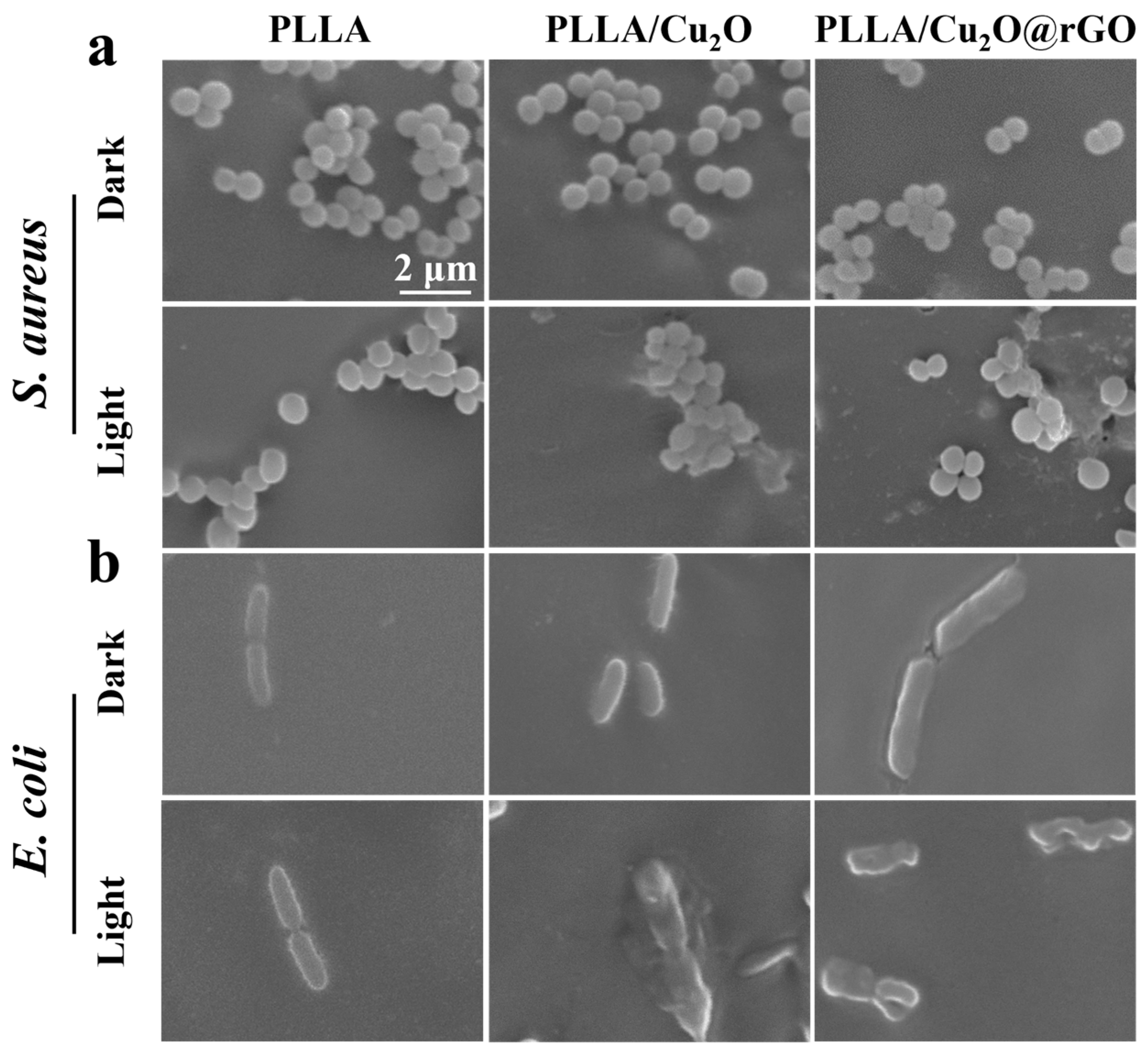 Nanomaterials 14 00452 g006