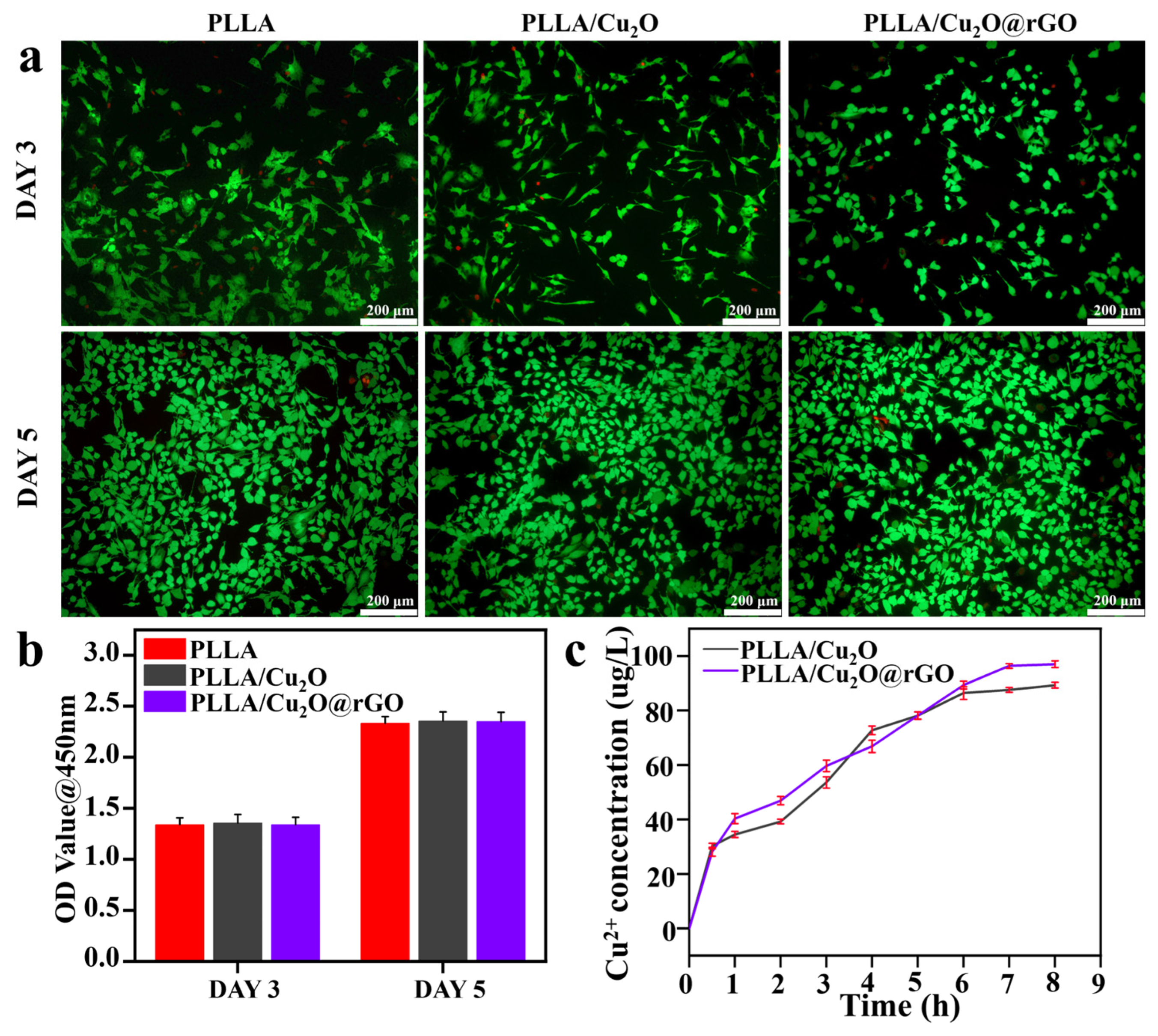 Nanomaterials 14 00452 g008