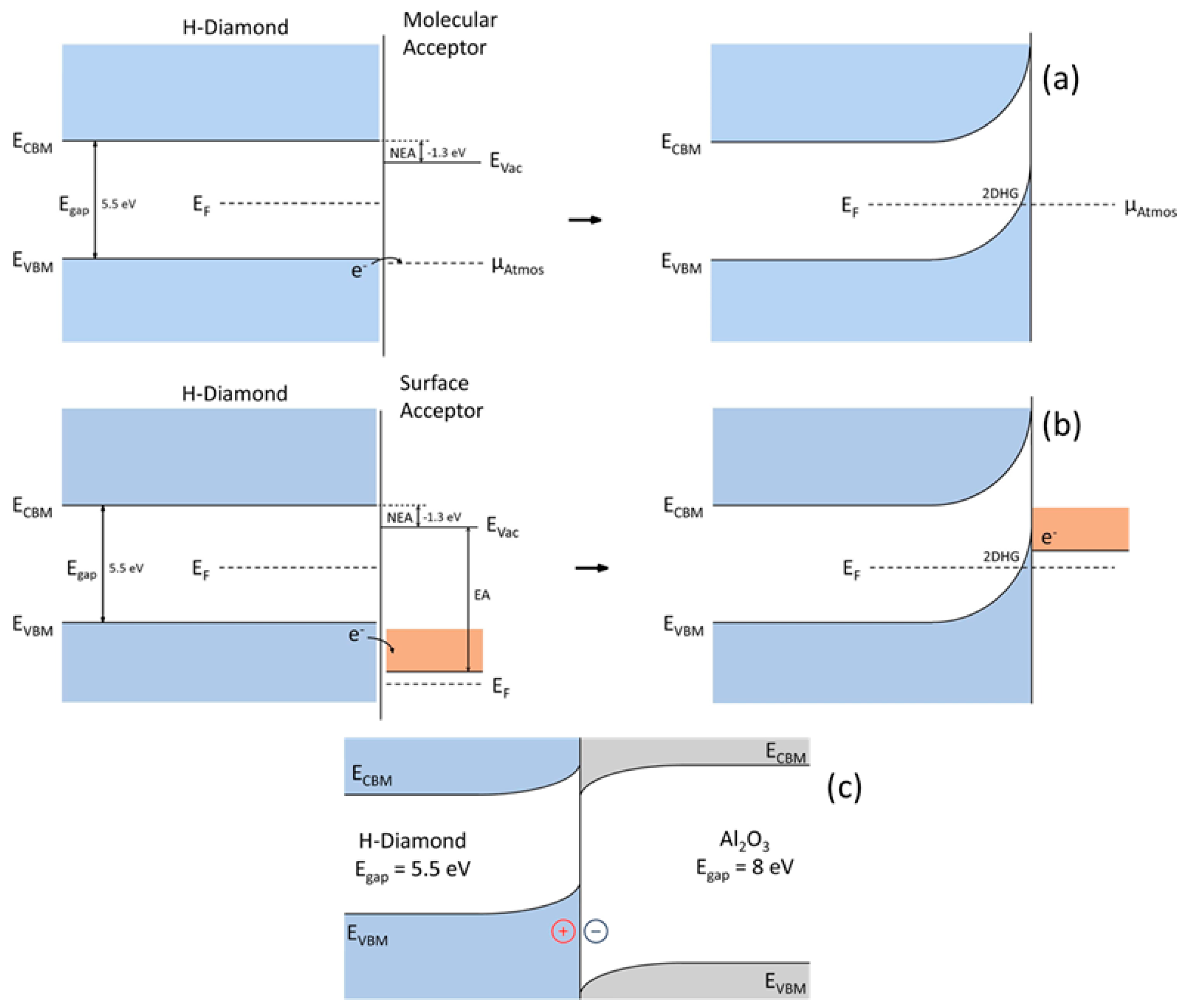 Nanomaterials 14 00460 g008