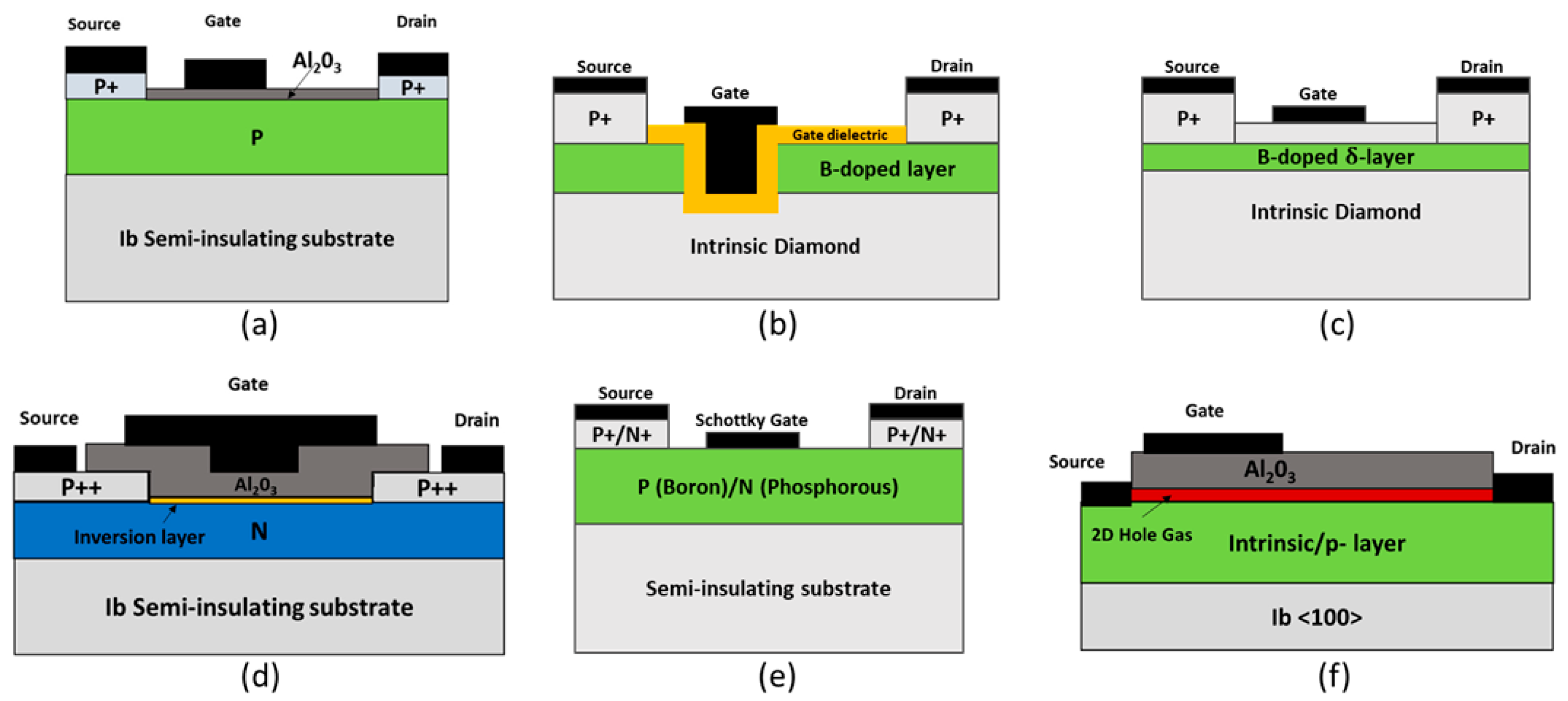 Nanomaterials 14 00460 g010