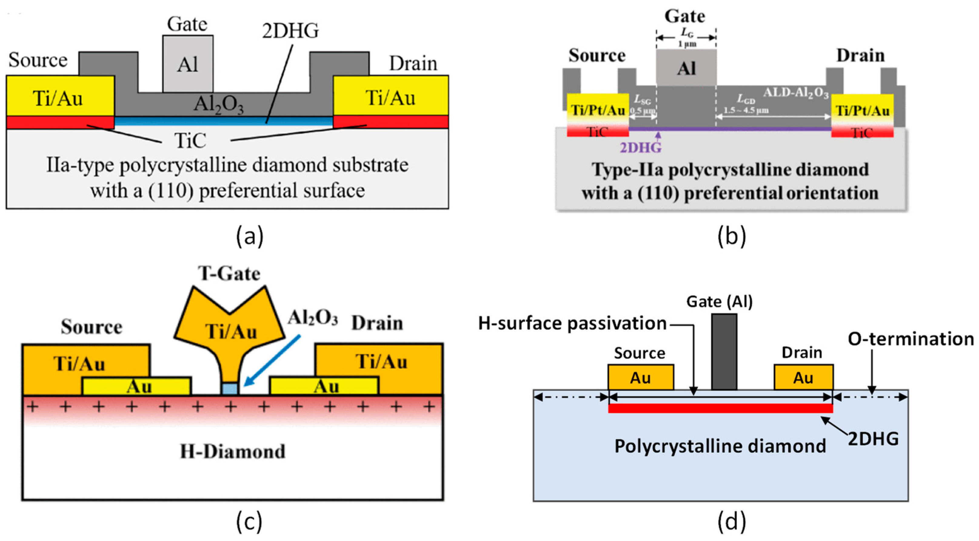 Nanomaterials 14 00460 g011