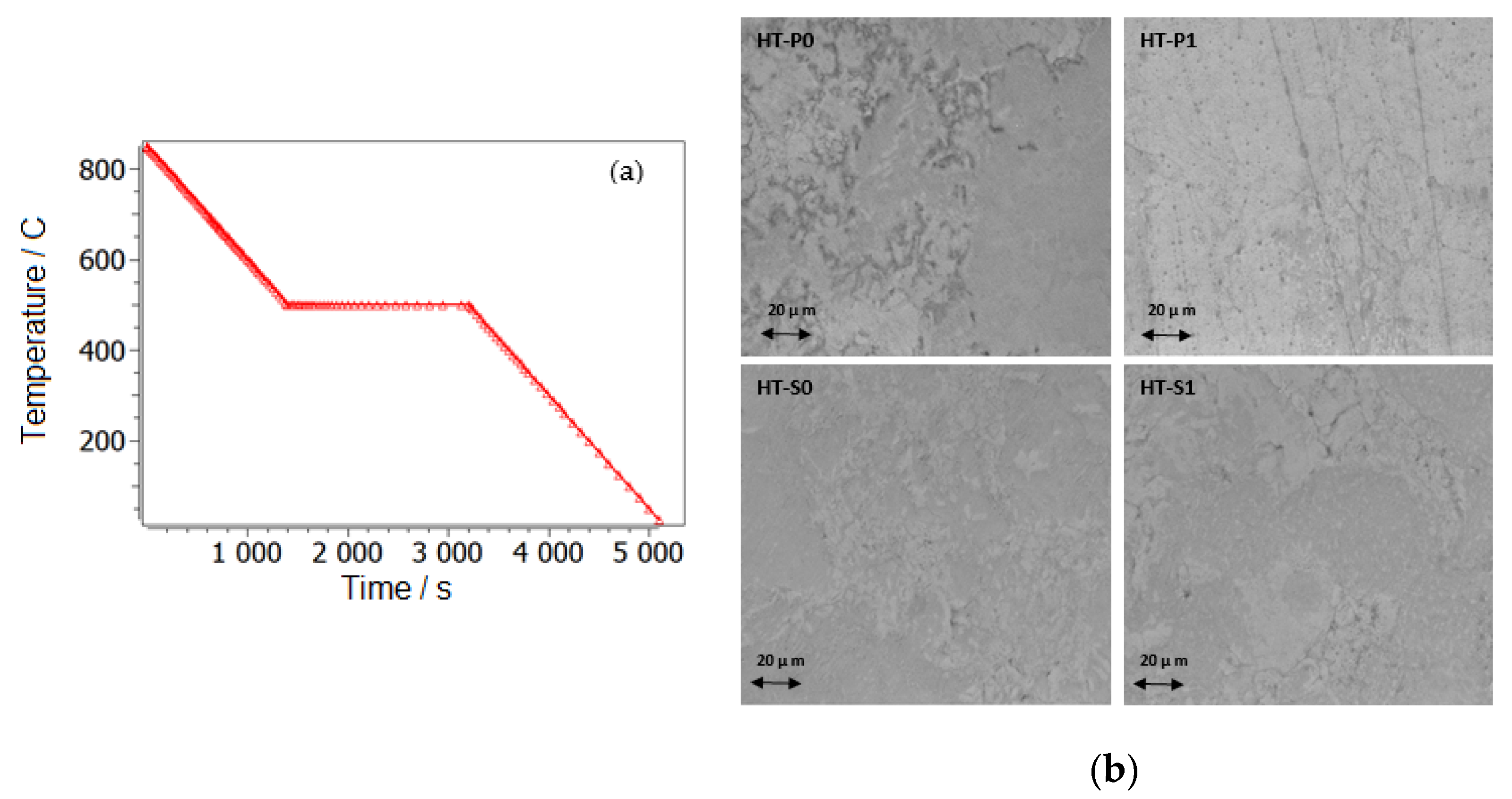 Nanomaterials 14 00461 g008