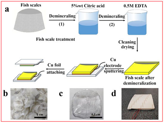 Fish-scale bio-inspired multifunctional ZnO nanostructures