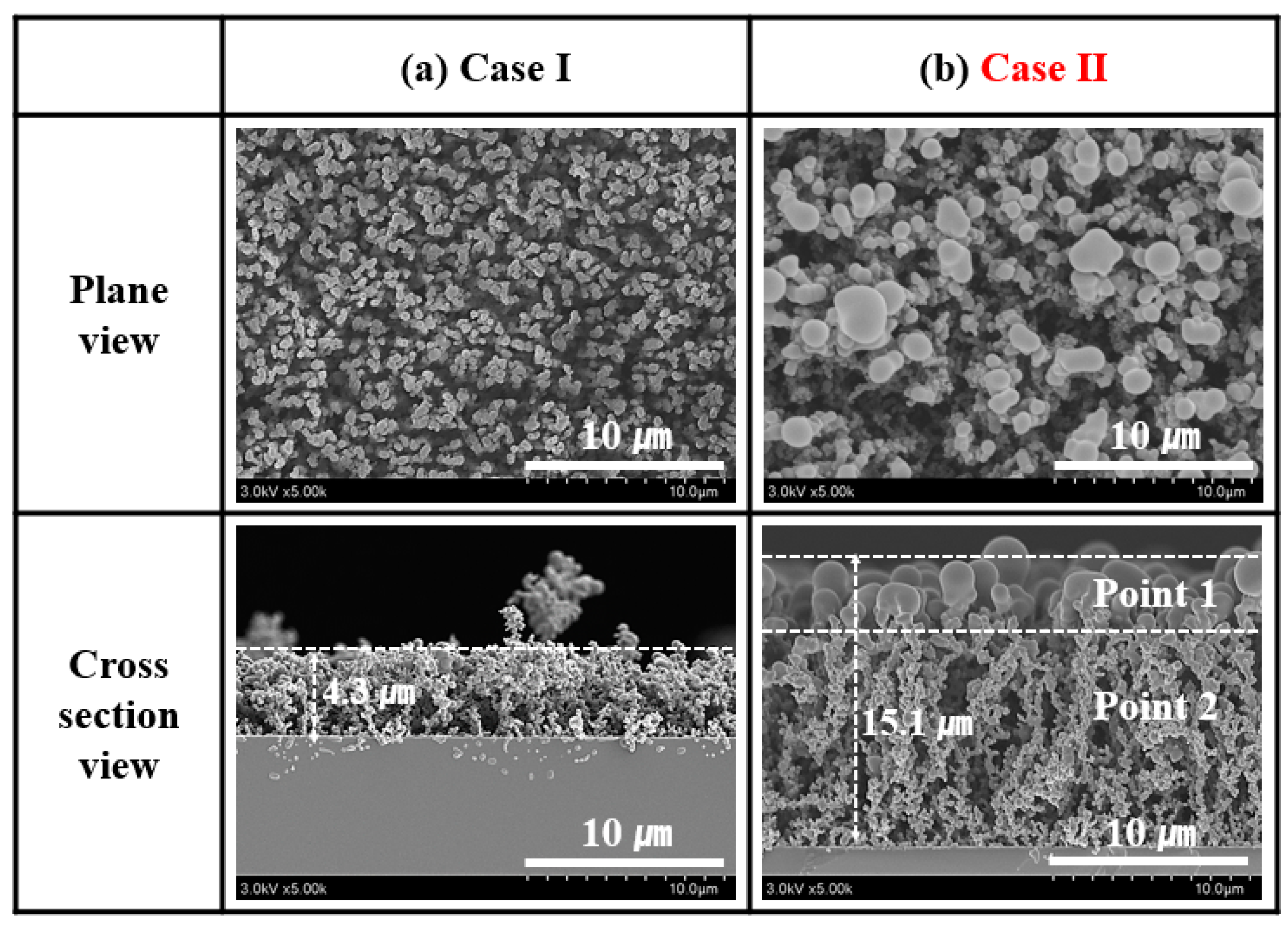 Nanomaterials 14 00468 g008