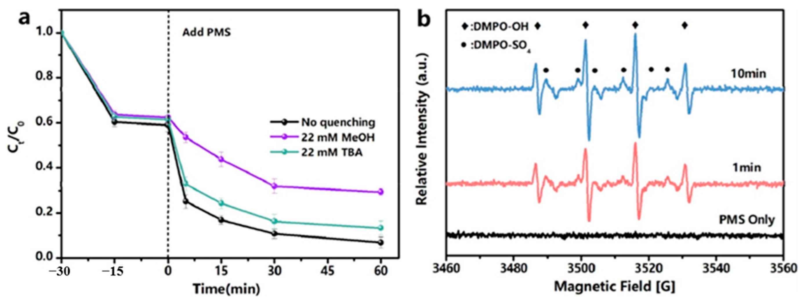 Nanomaterials 14 00473 g022