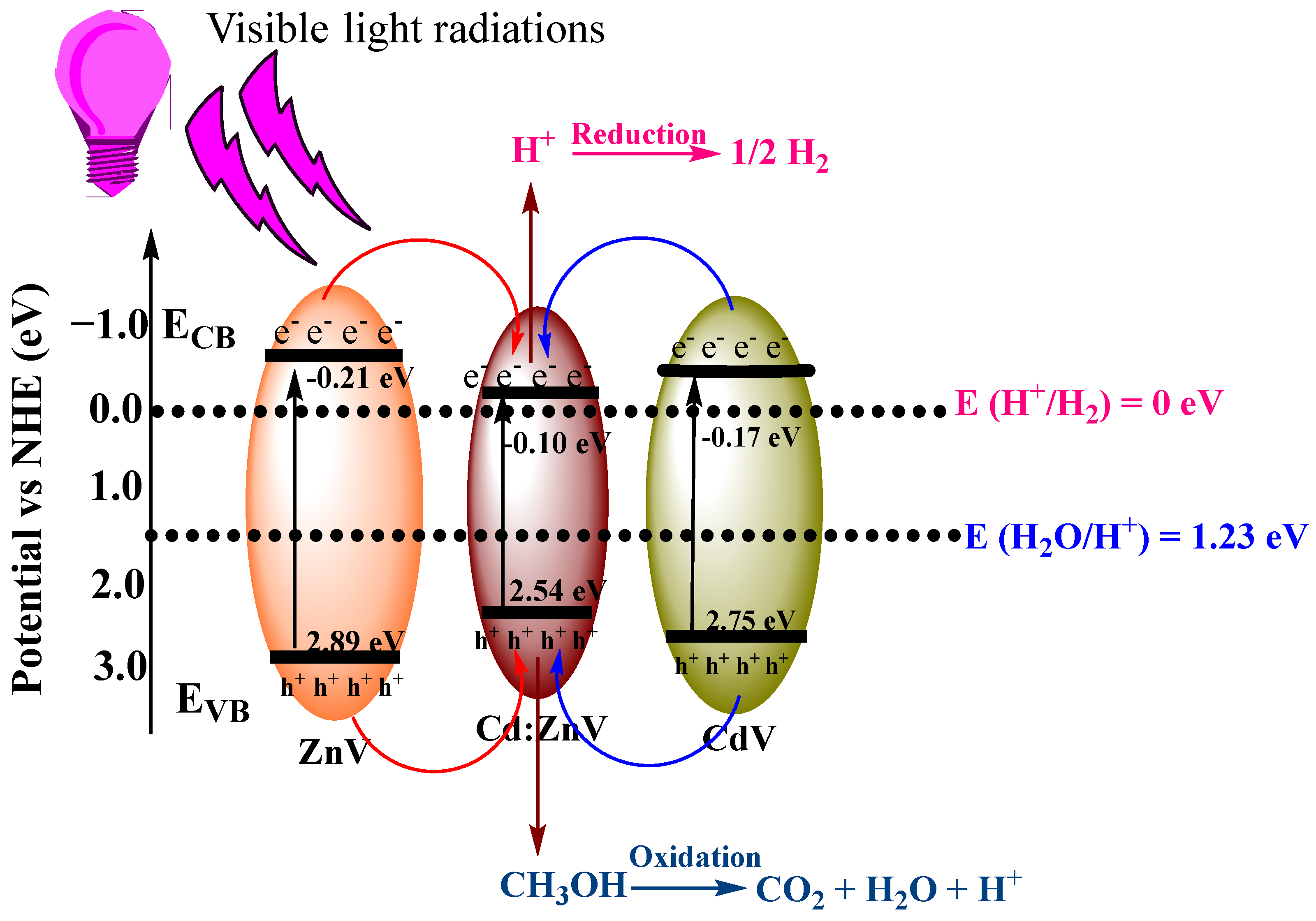 Nanomaterials 14 00492 sch001