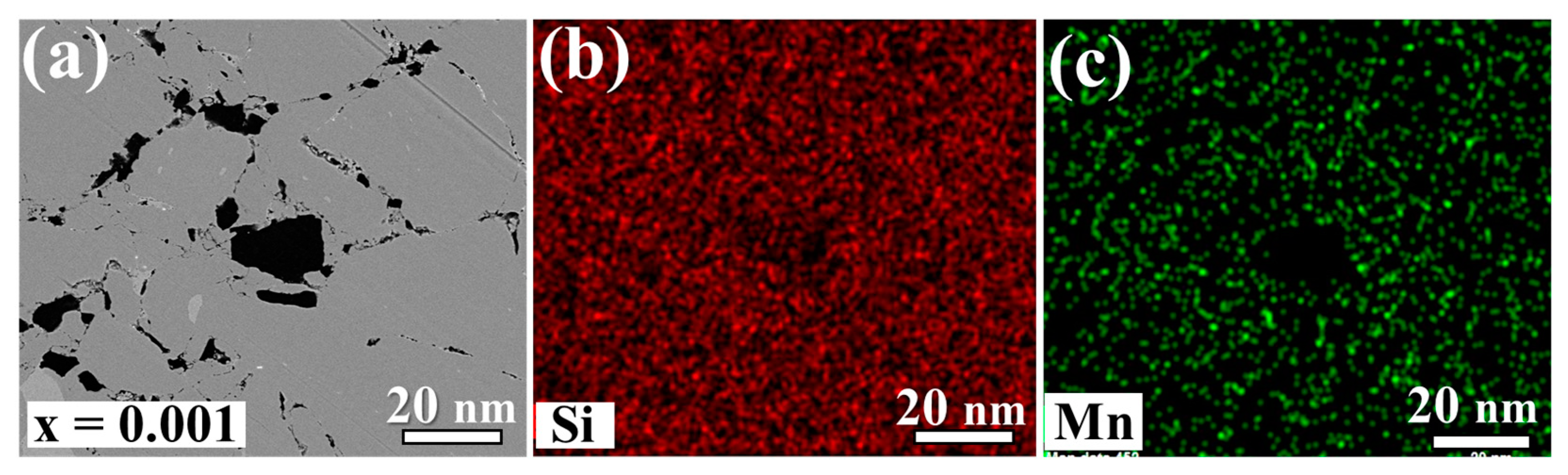 Nanomaterials 14 00494 g005