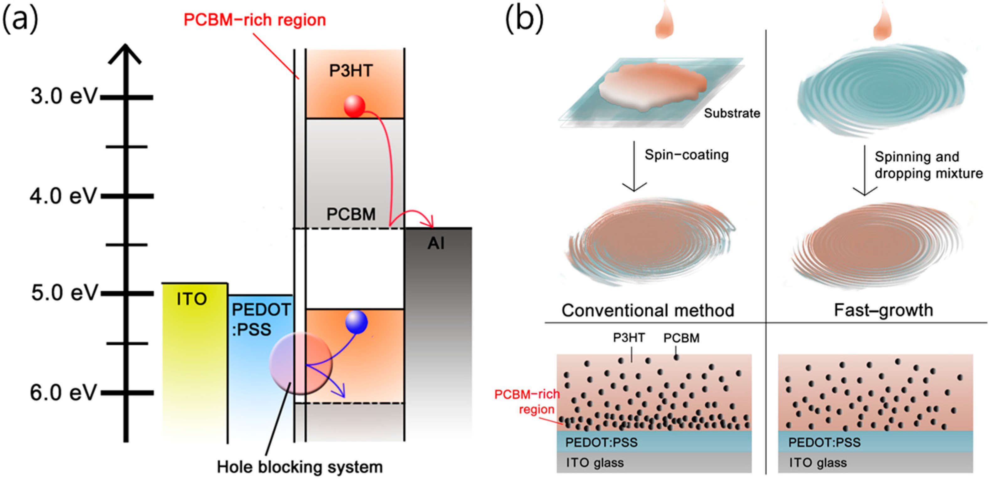 Nanomaterials 14 00502 g001