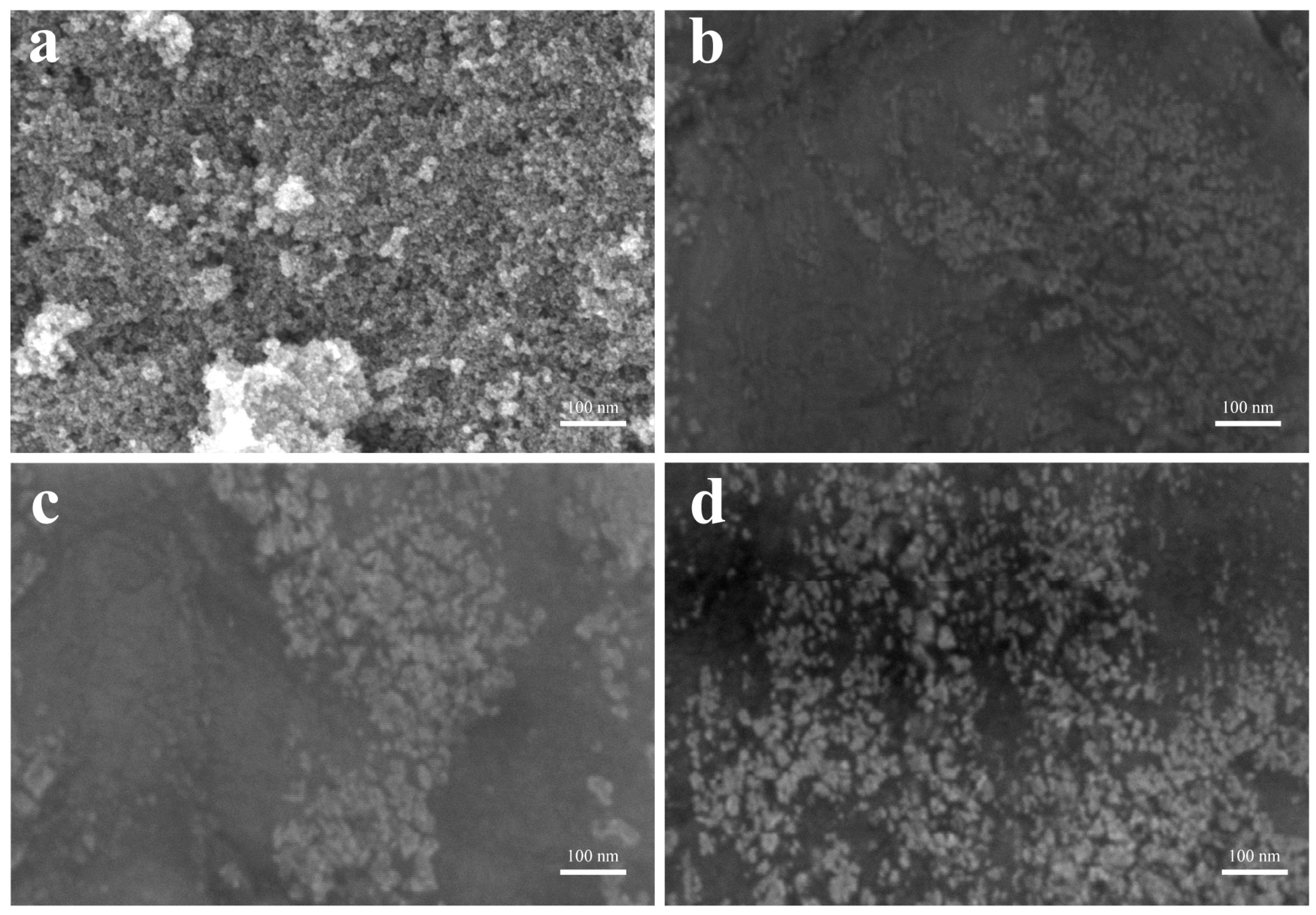Nanomaterials 14 00505 g002