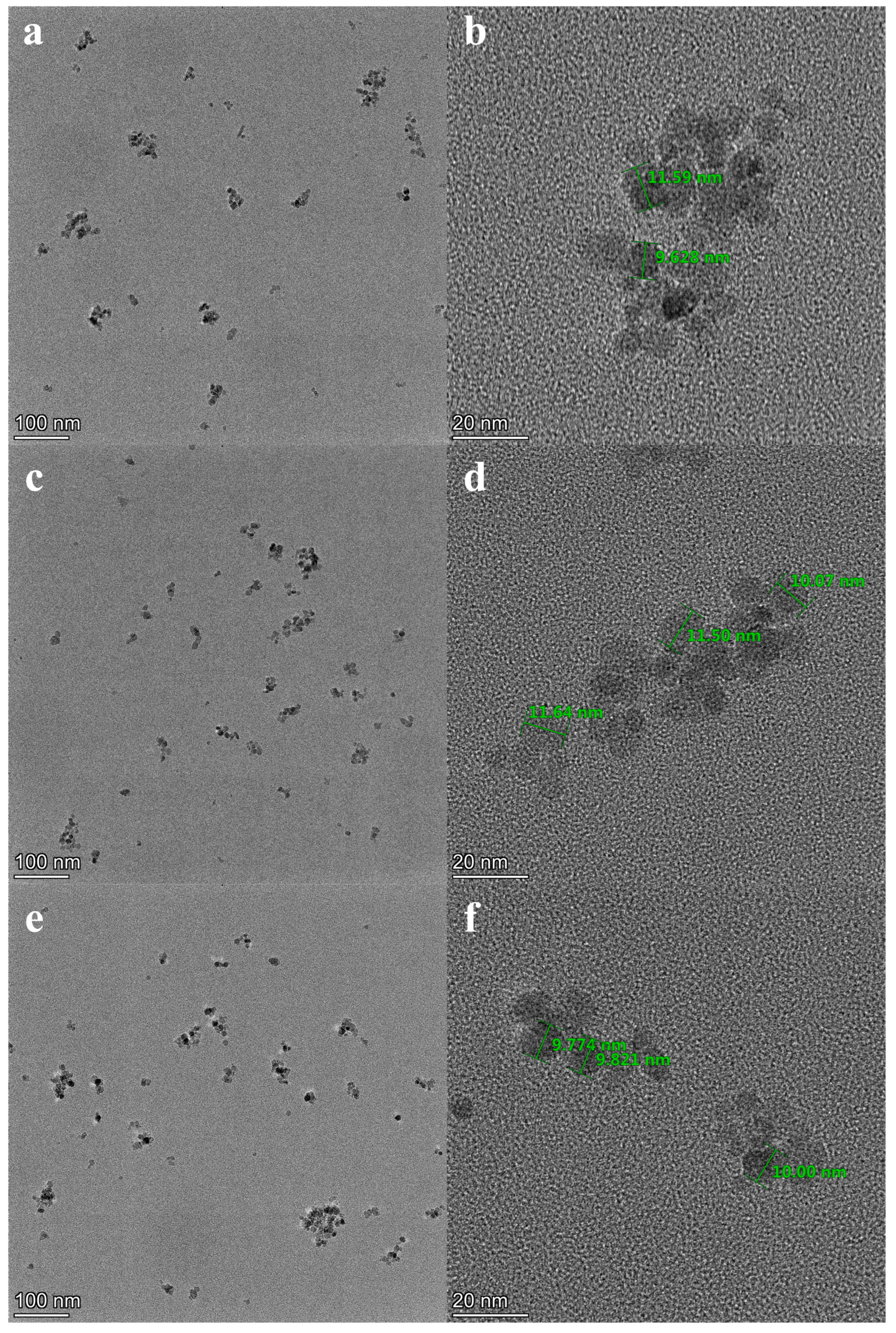 Nanomaterials 14 00505 g003