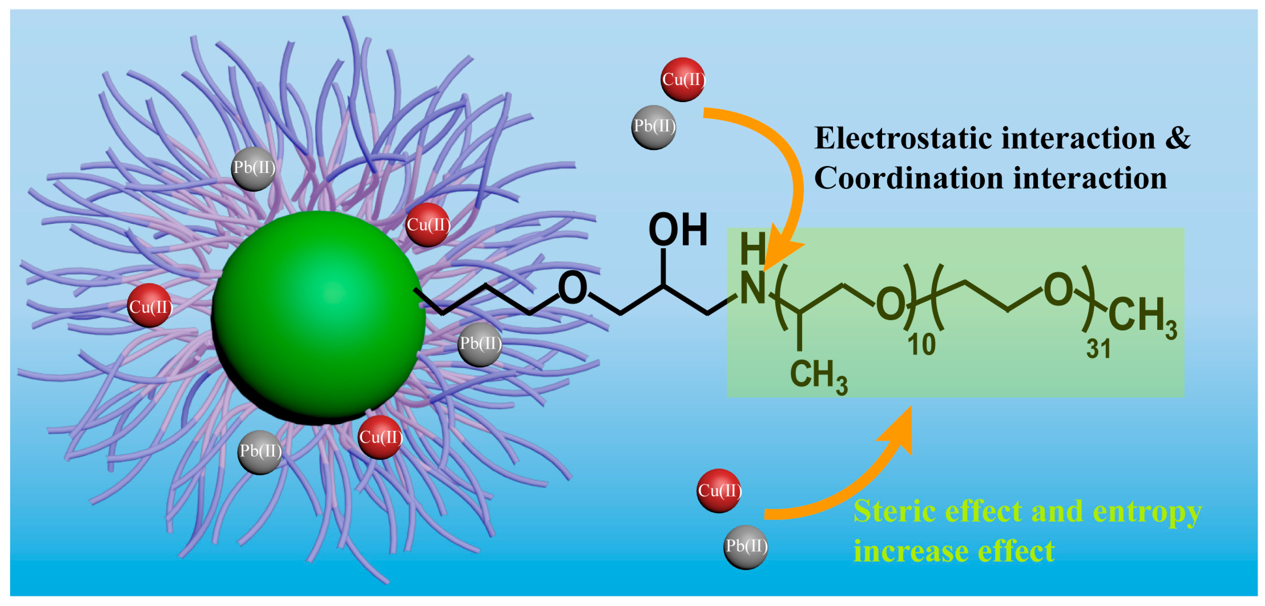 Nanomaterials 14 00505 g007