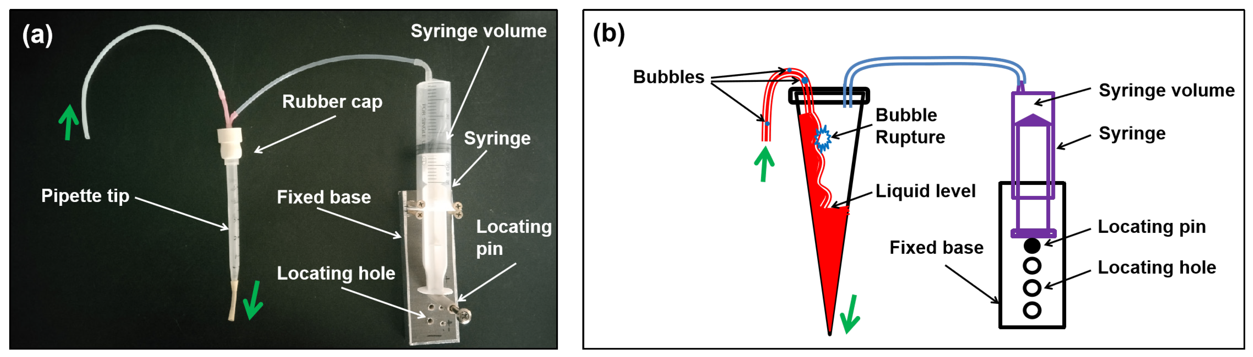 Nanomaterials 14 00508 g003