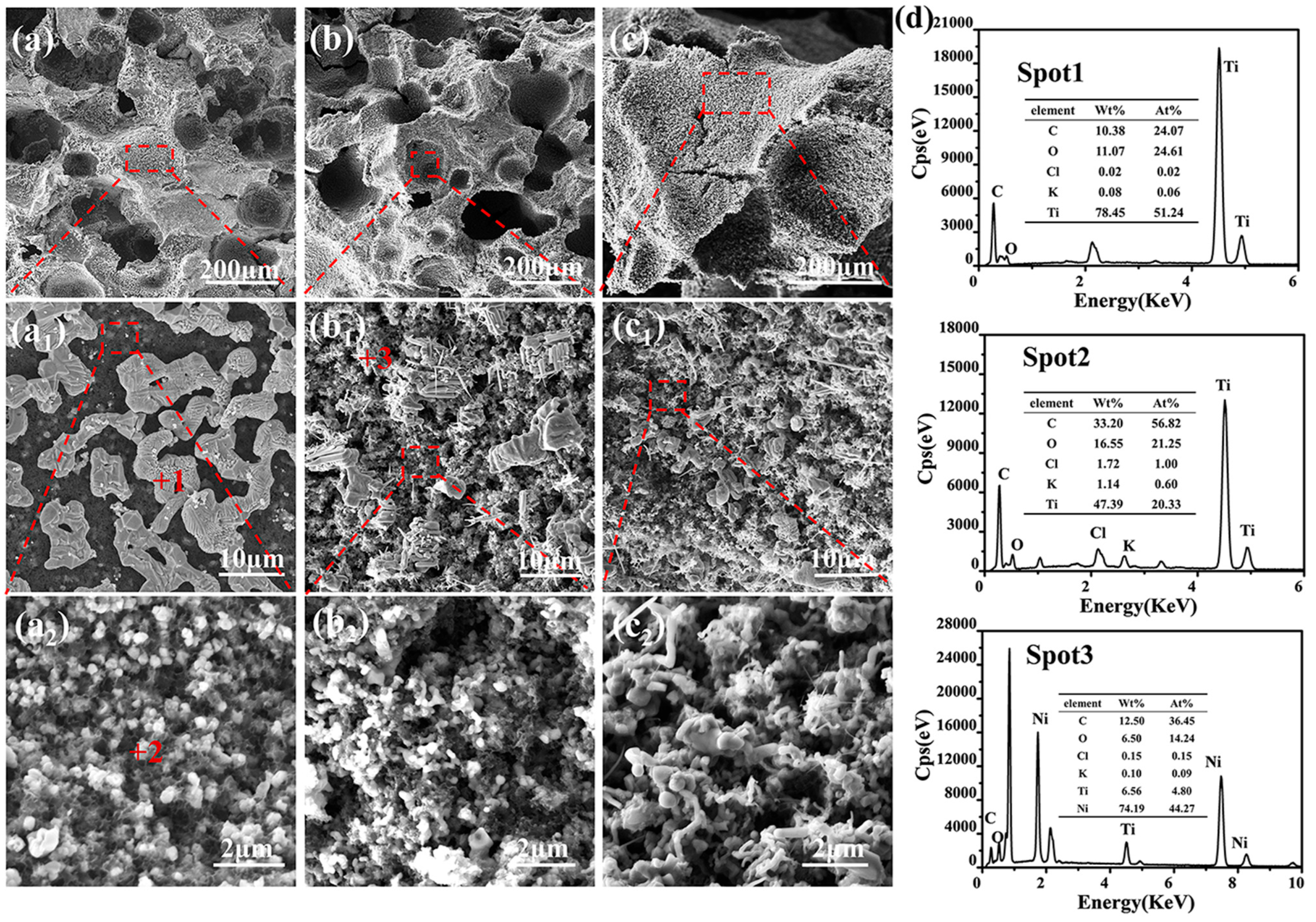 Nanomaterials 14 00515 g005