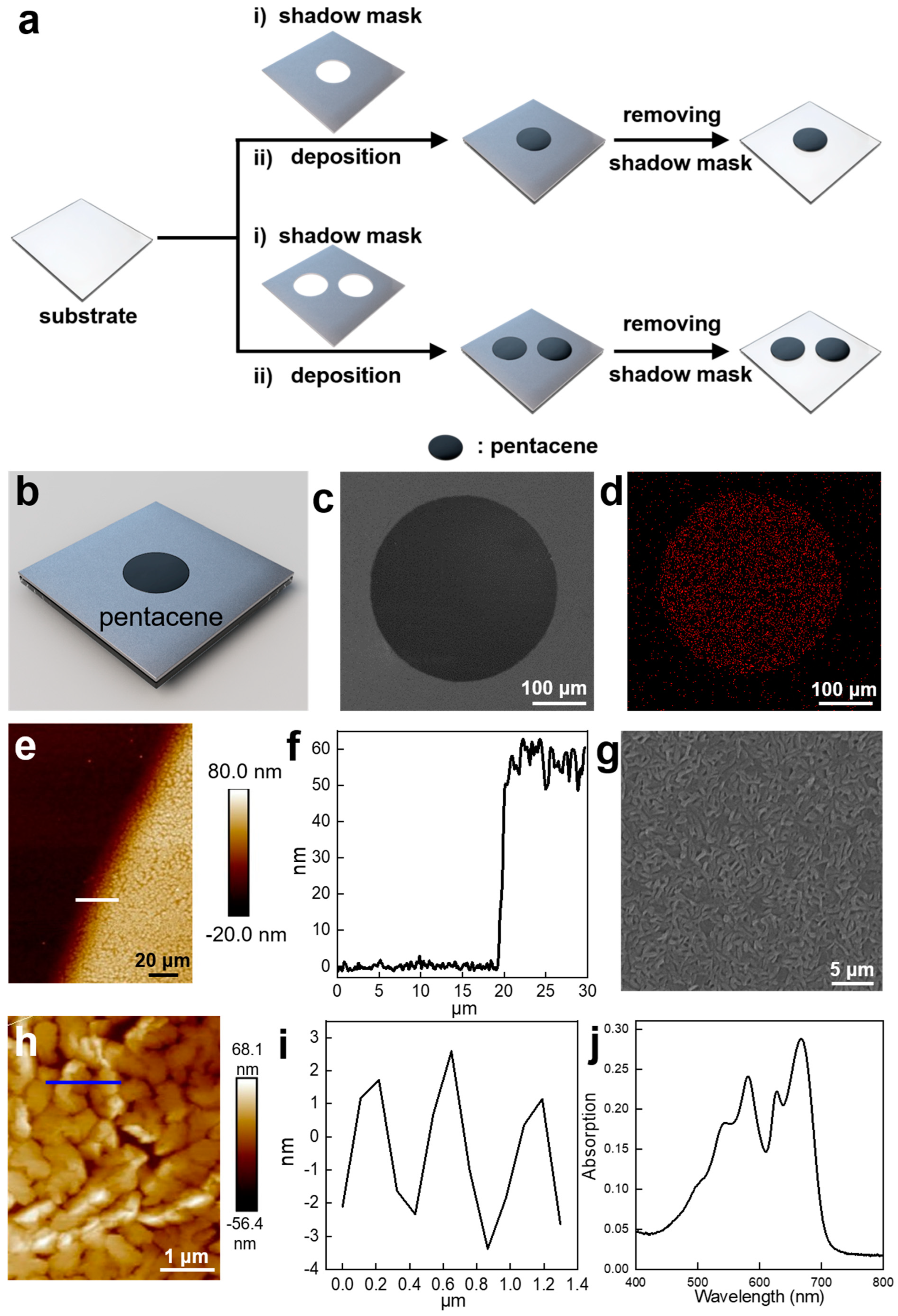 Nanomaterials 14 00517 g001