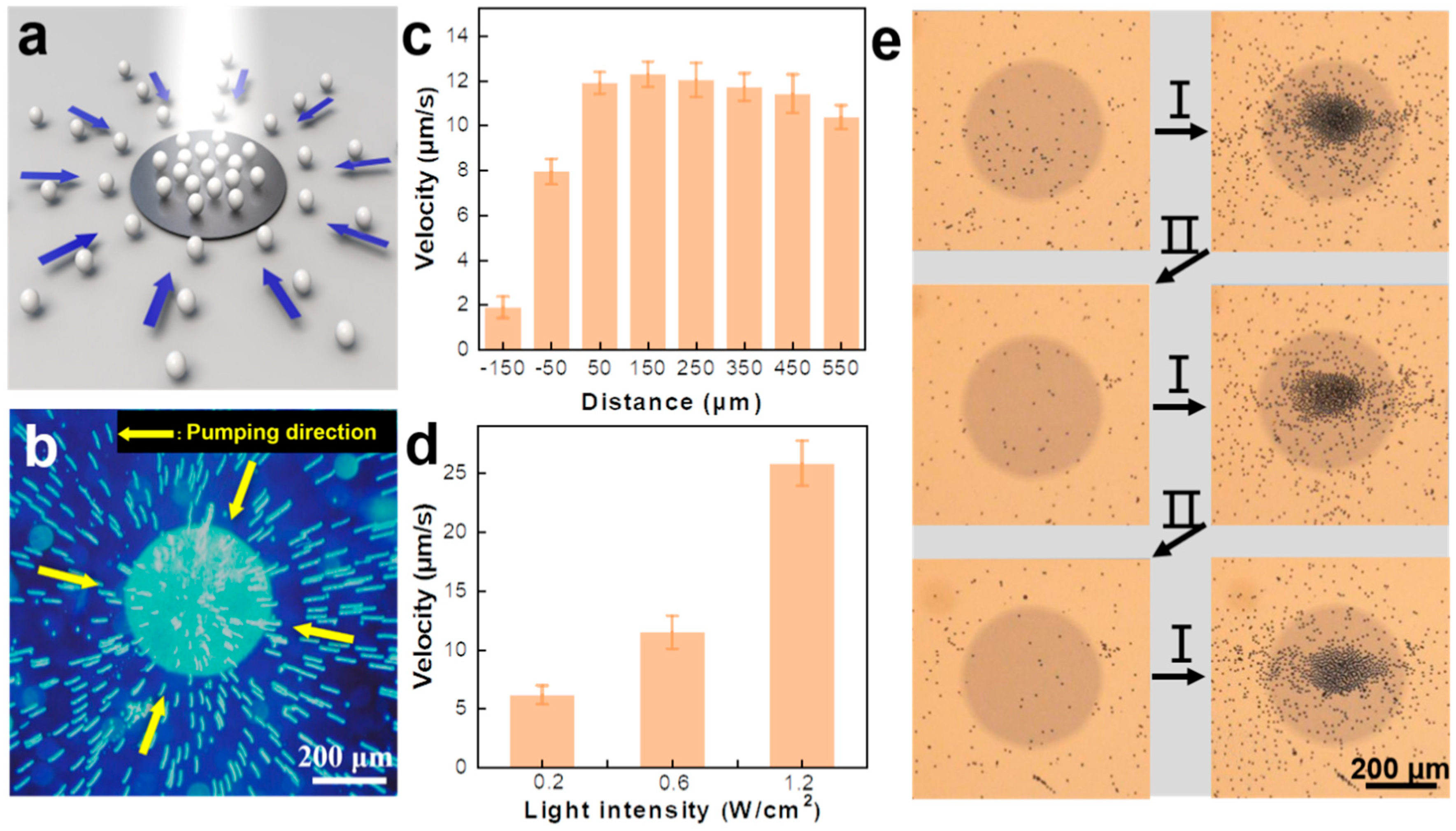 Nanomaterials 14 00517 g002