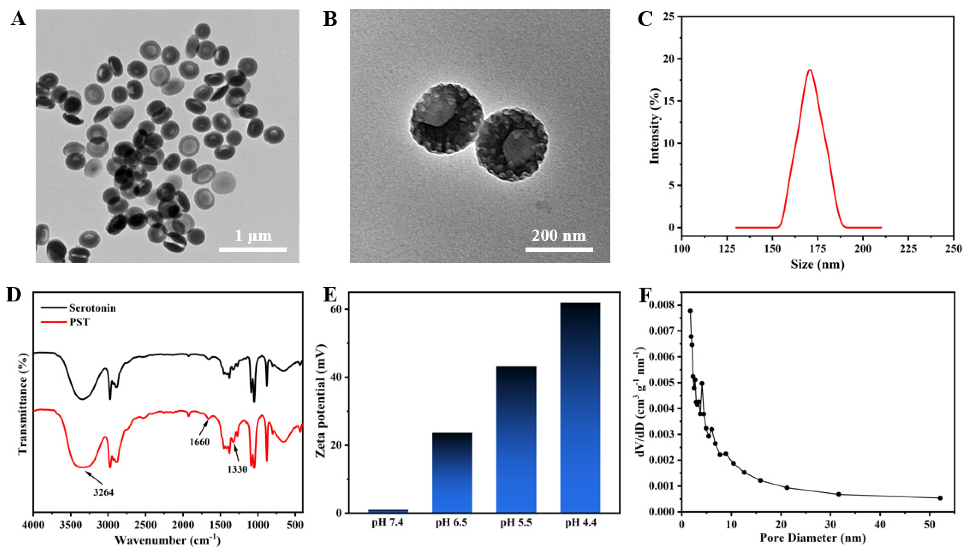 Nanomaterials 14 00519 g001
