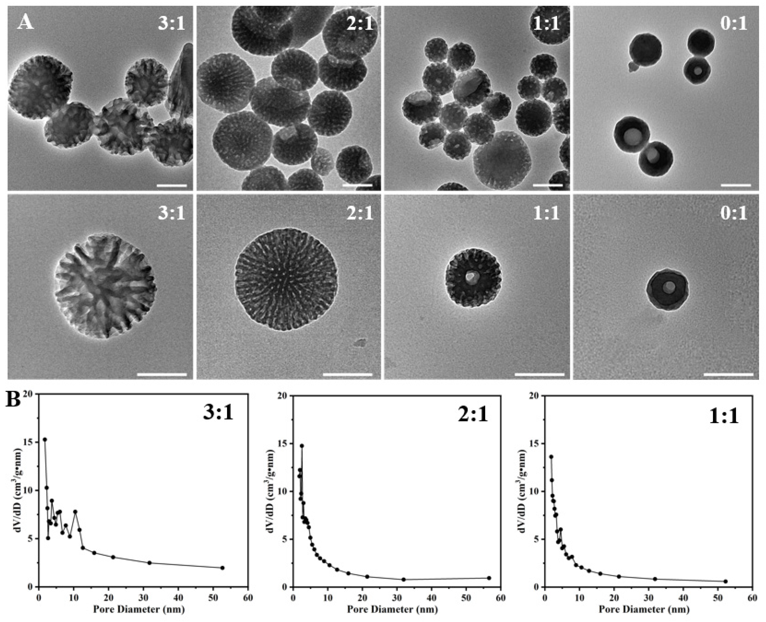 Nanomaterials 14 00519 g002