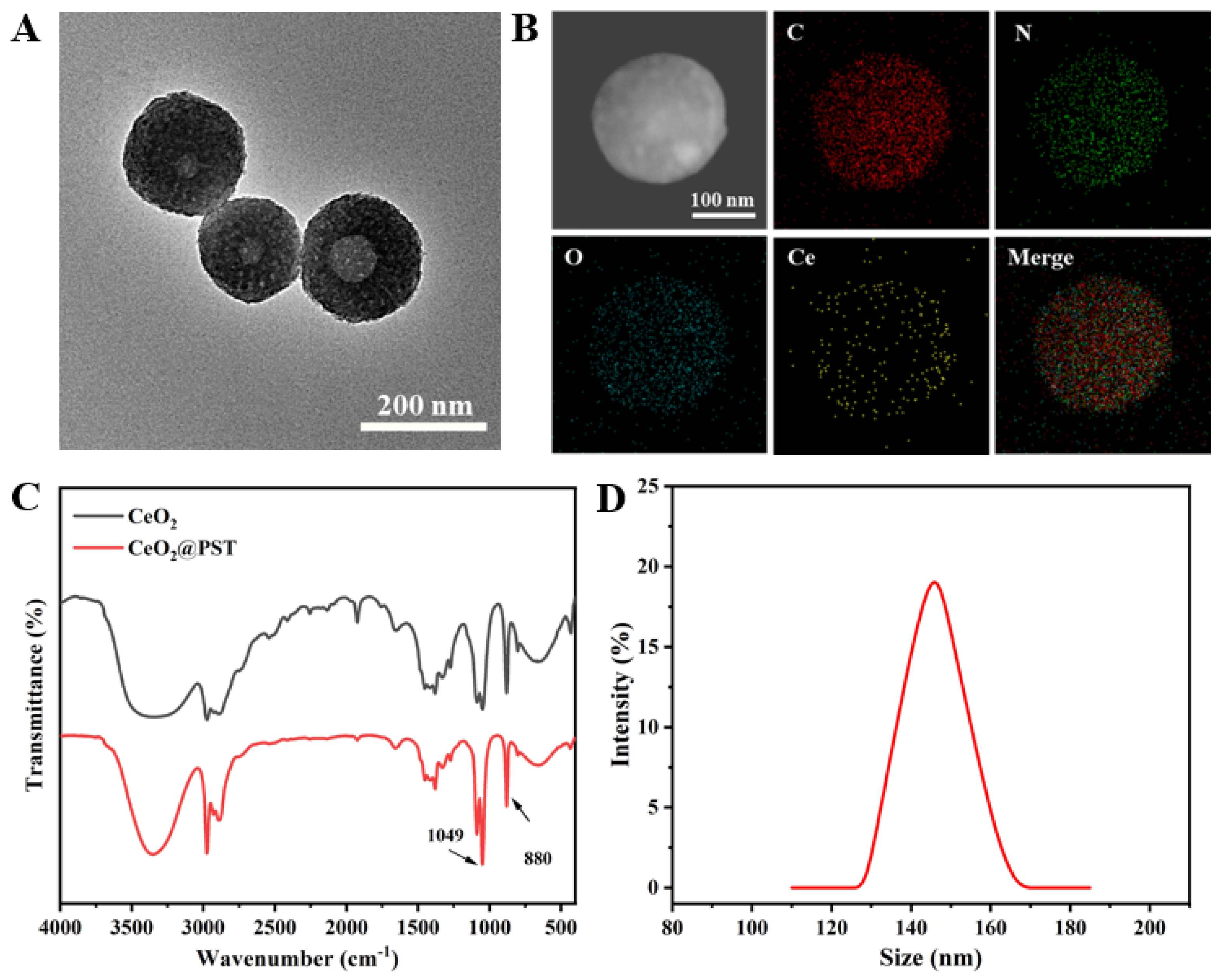 Nanomaterials 14 00519 g004