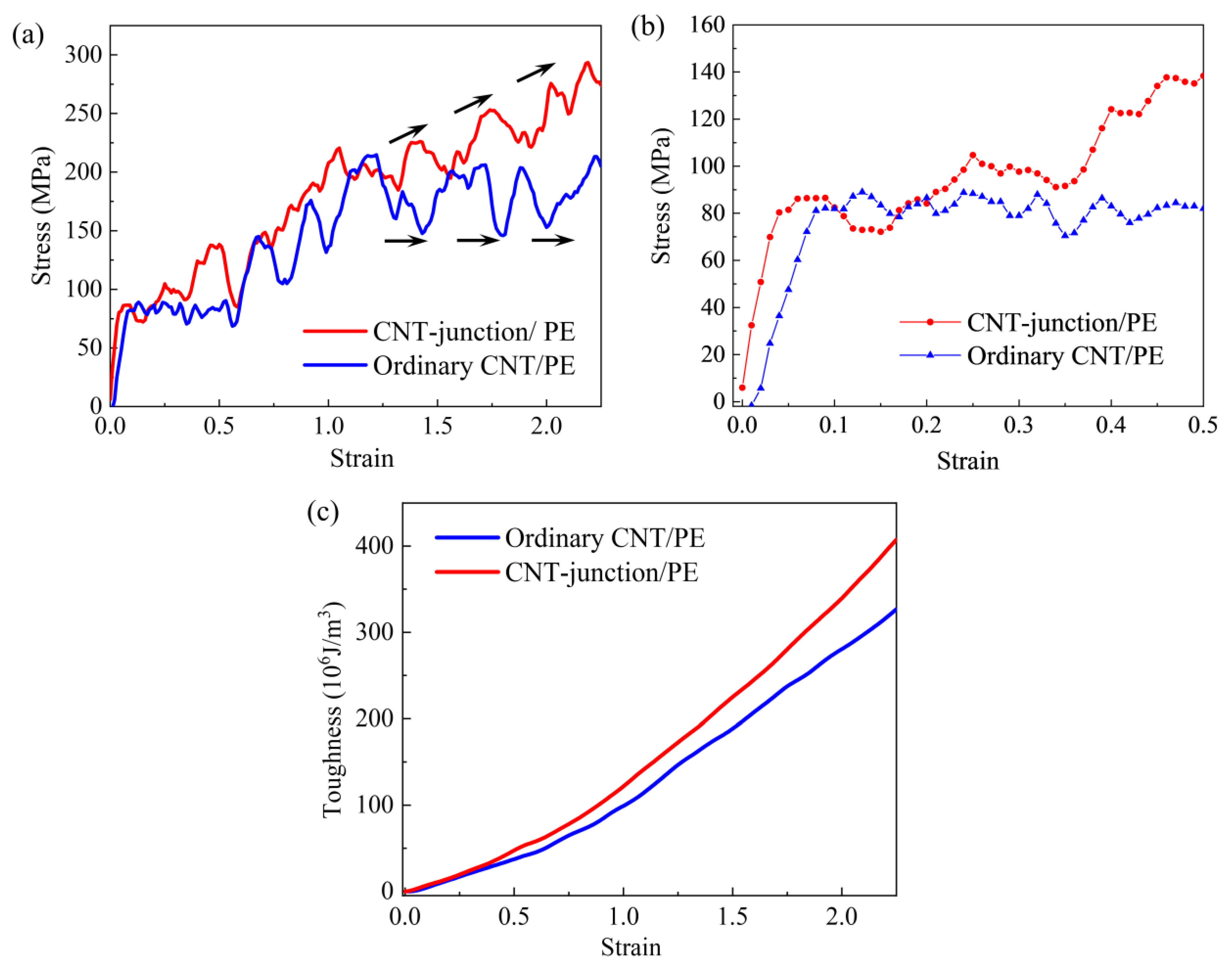 Nanomaterials 14 00520 g006