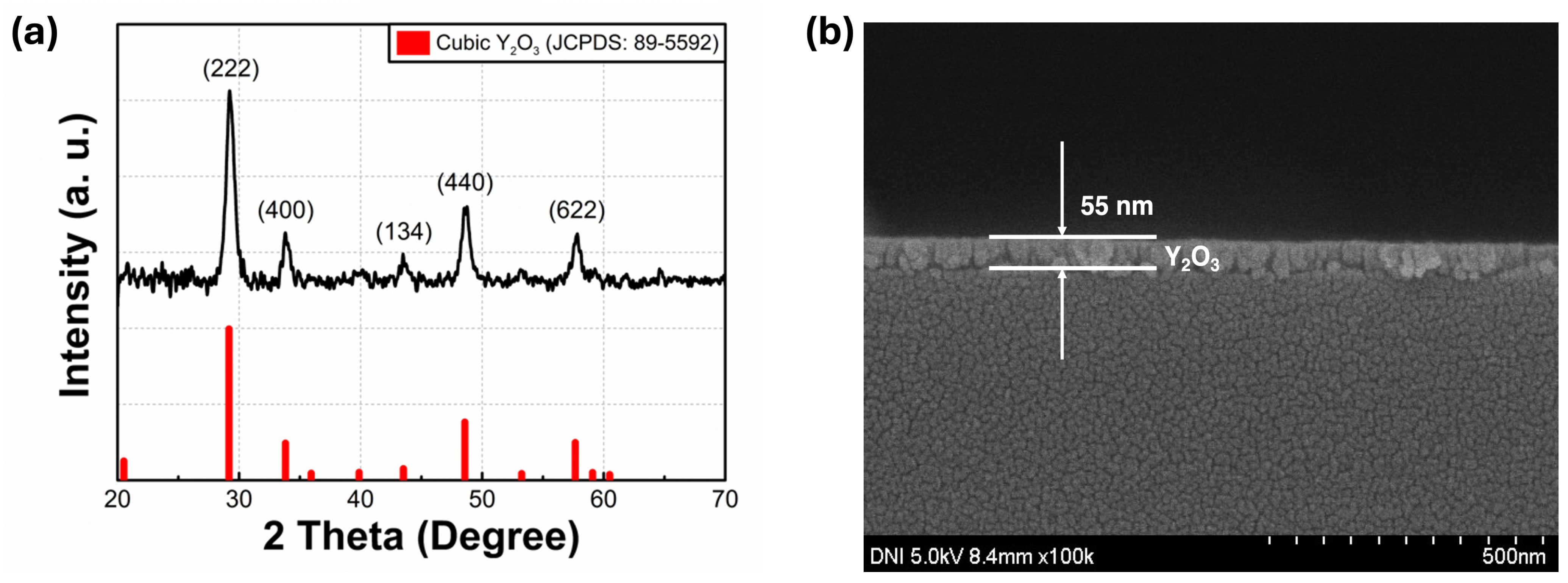 Nanomaterials 14 00532 g001a