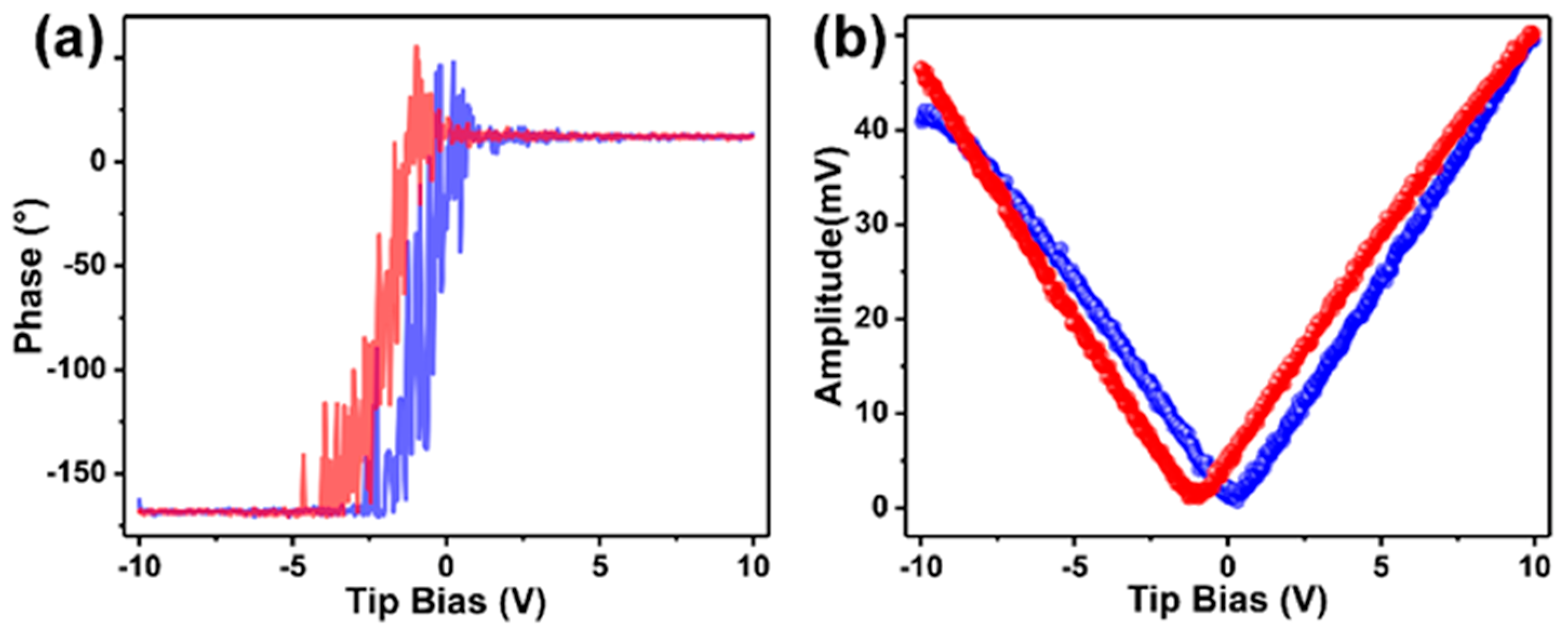 Nanomaterials 14 00559 g005