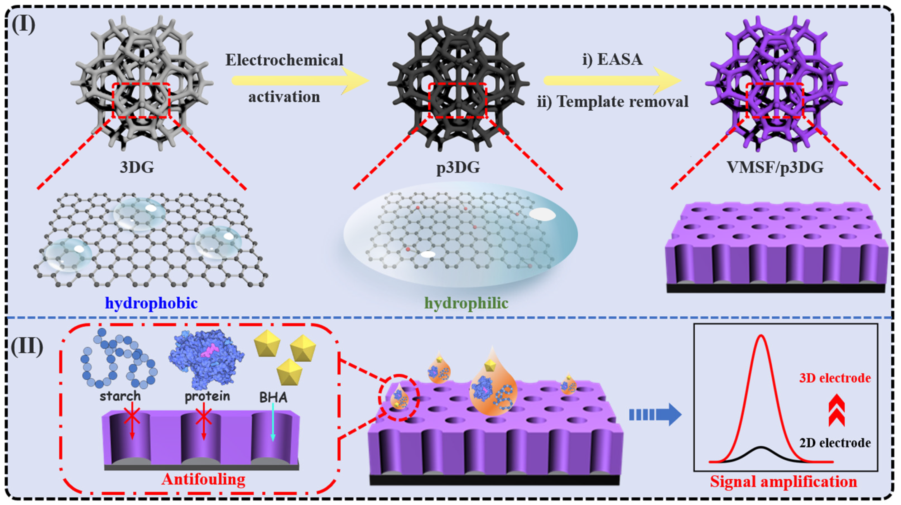Nanomaterials 14 00569 g001