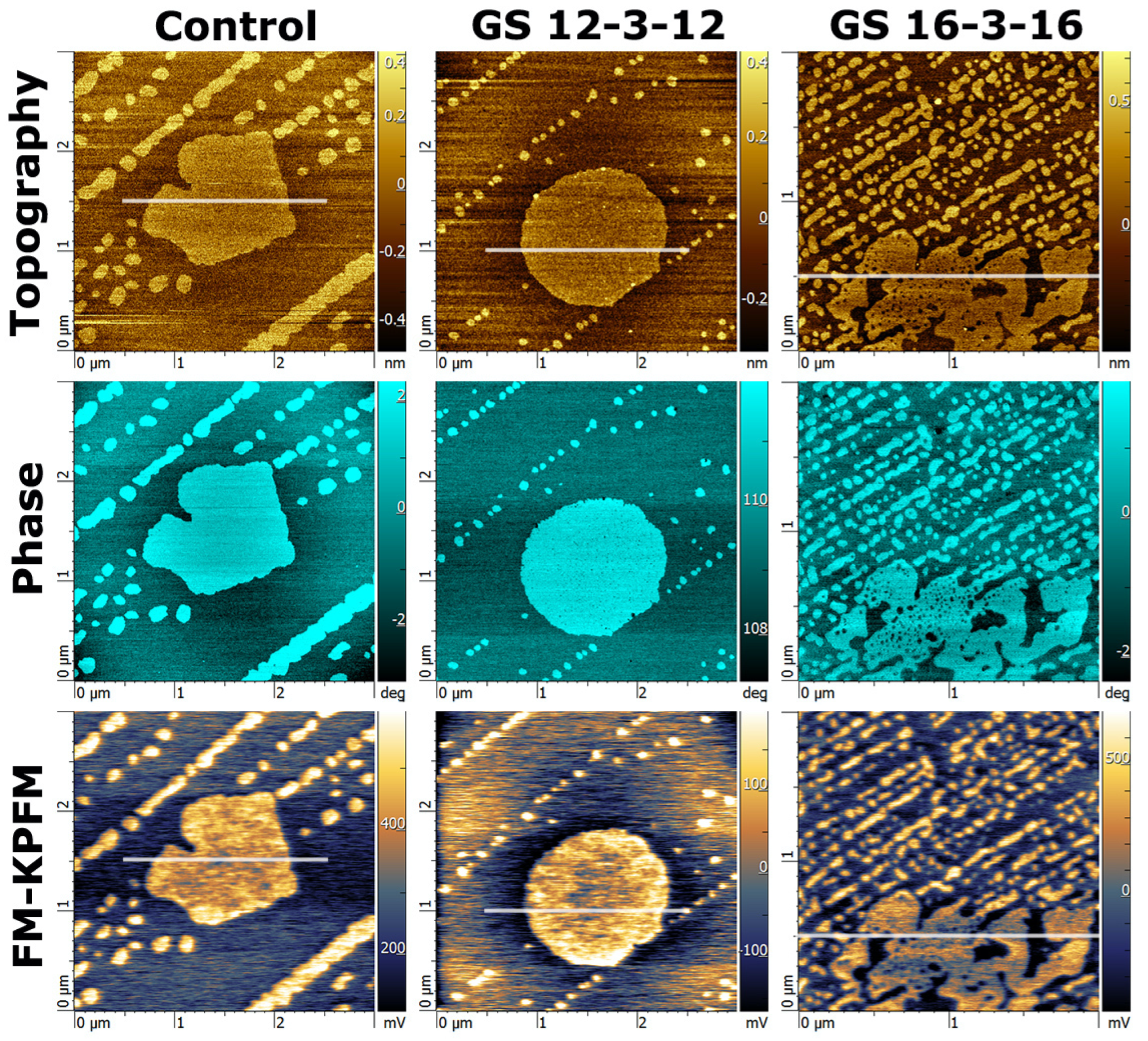 Nanomaterials 14 00572 g004