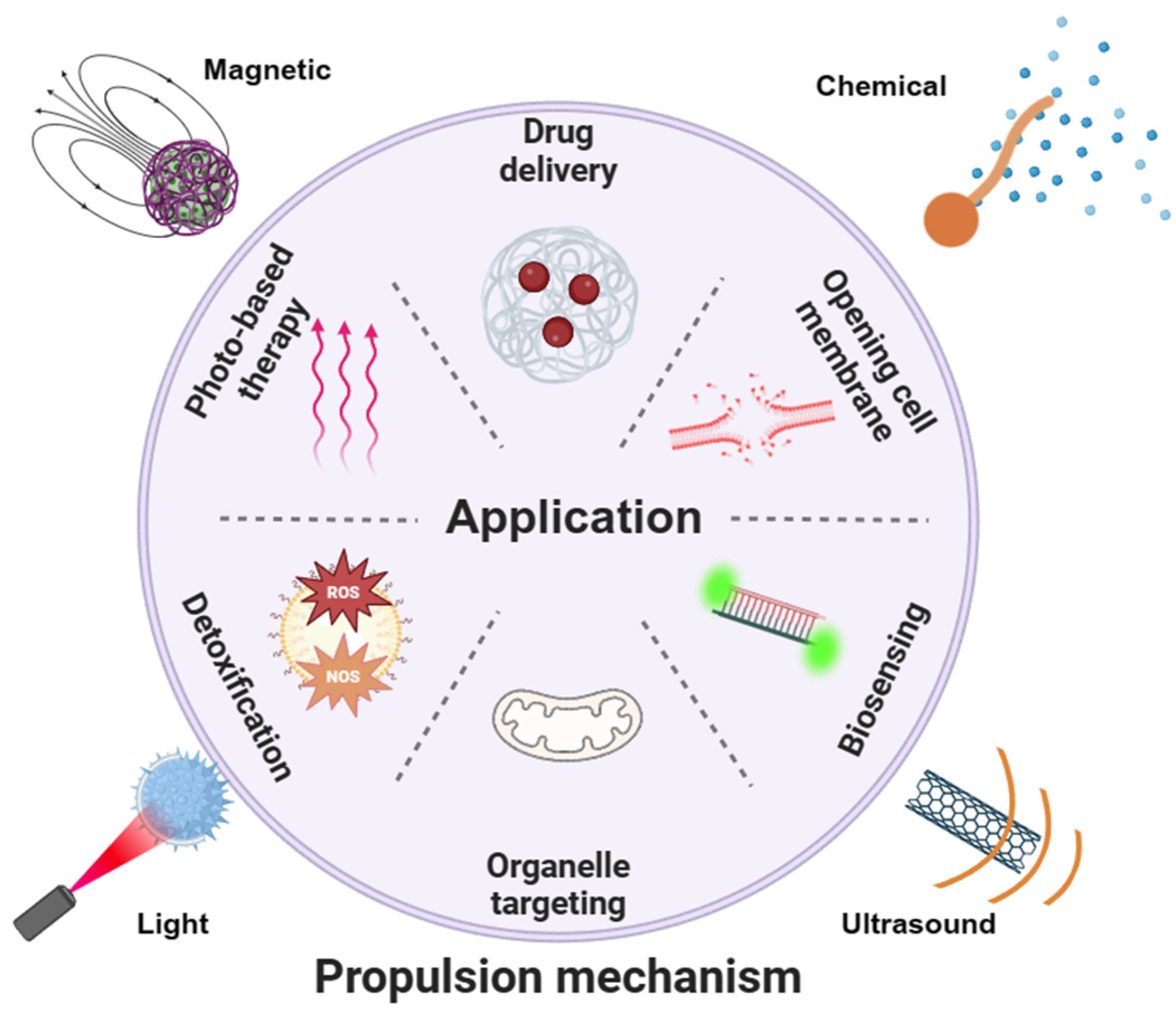Nanomaterials 14 00595 g001