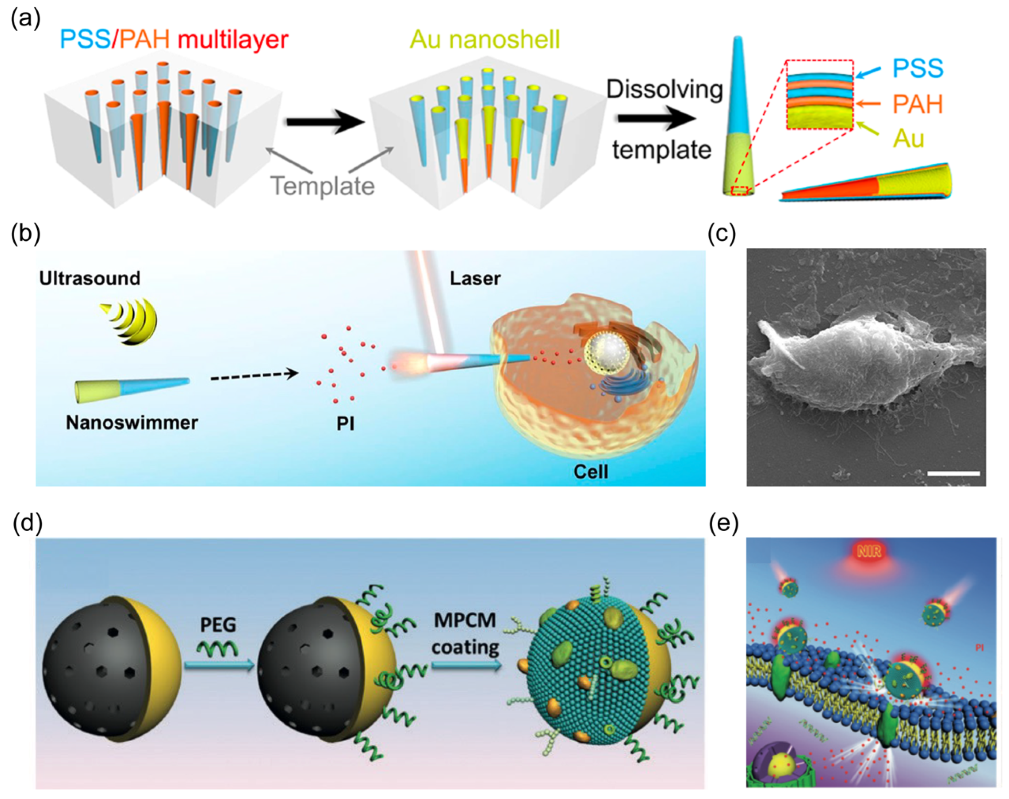 Nanomaterials 14 00595 g006