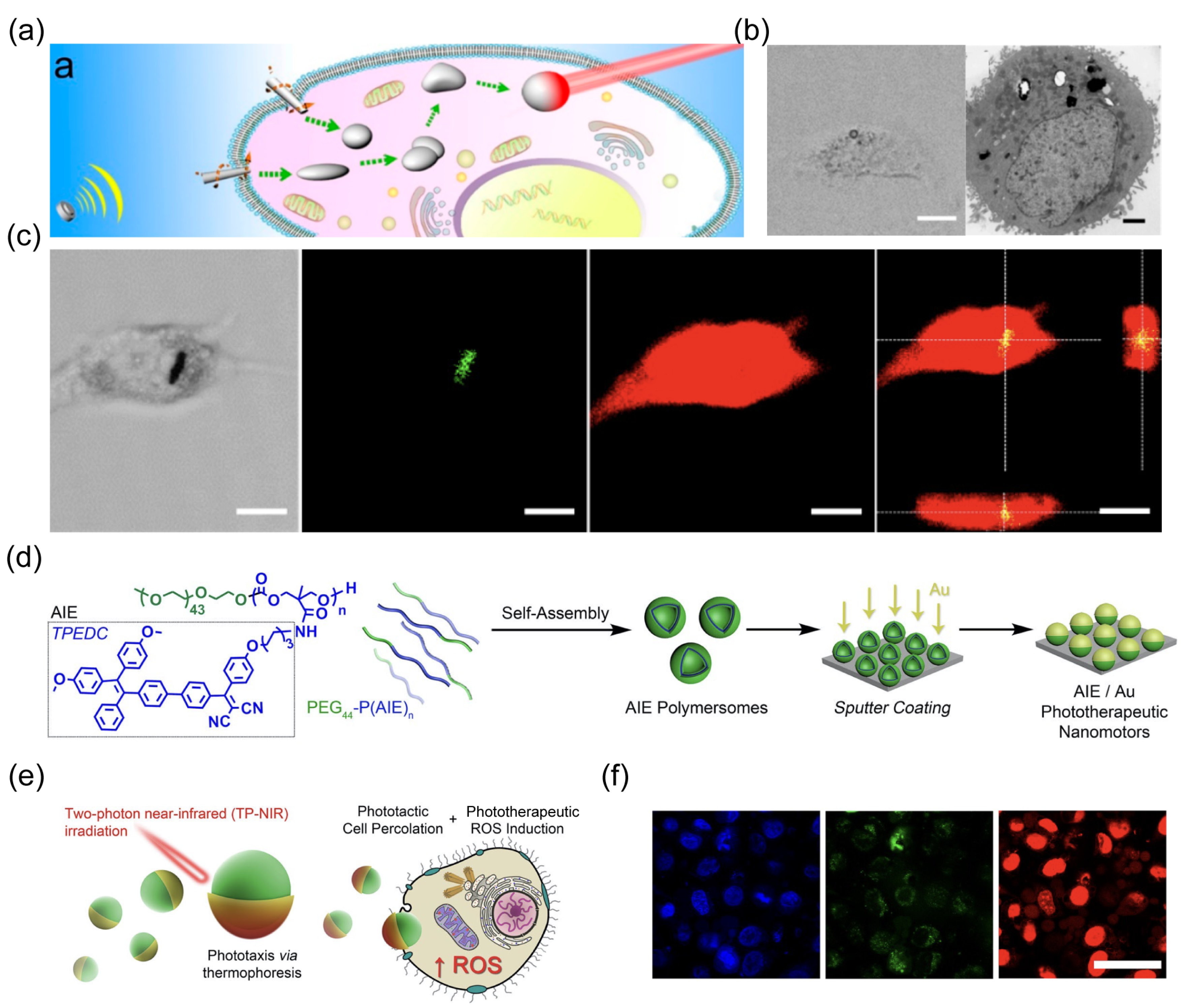 Nanomaterials 14 00595 g009