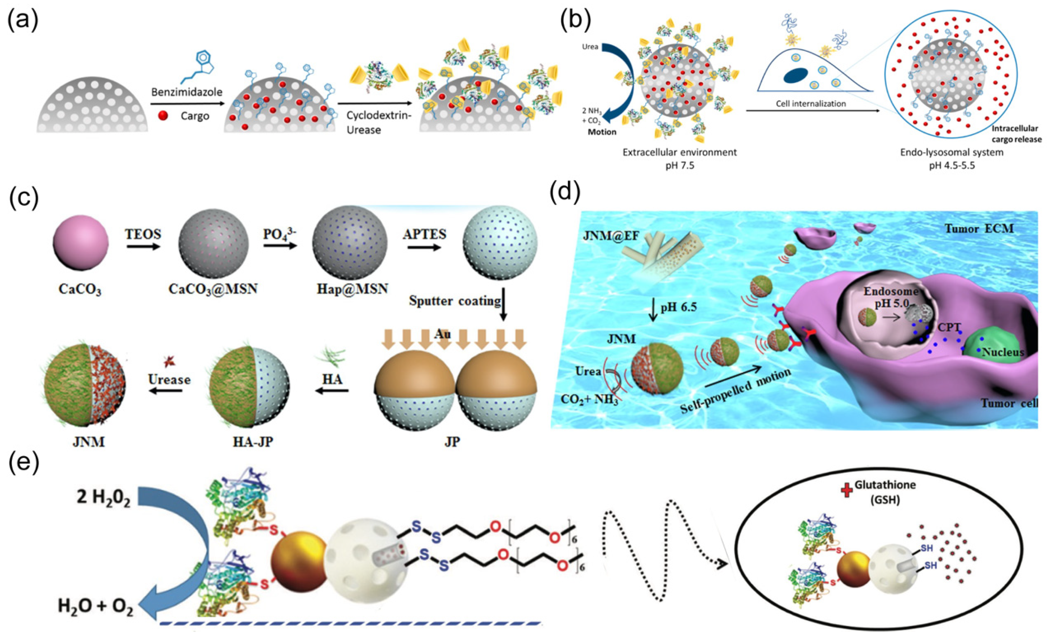 Nanomaterials 14 00595 g010