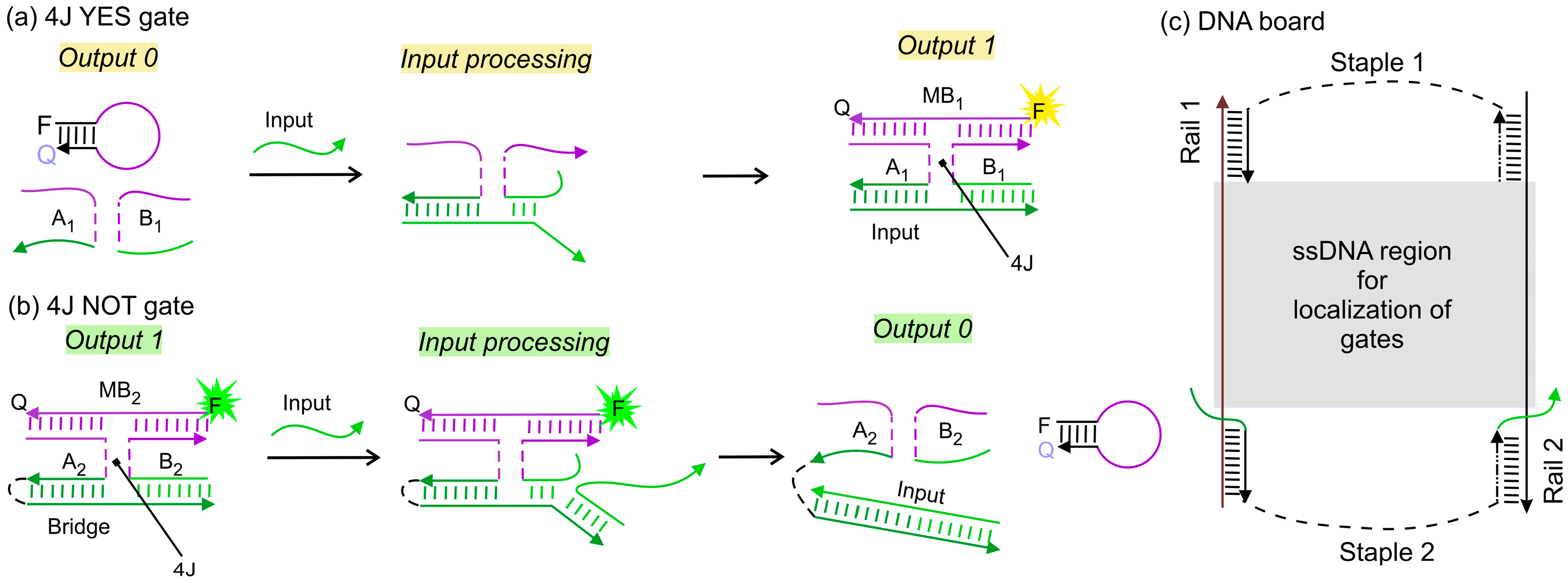 Nanomaterials 14 00600 g002