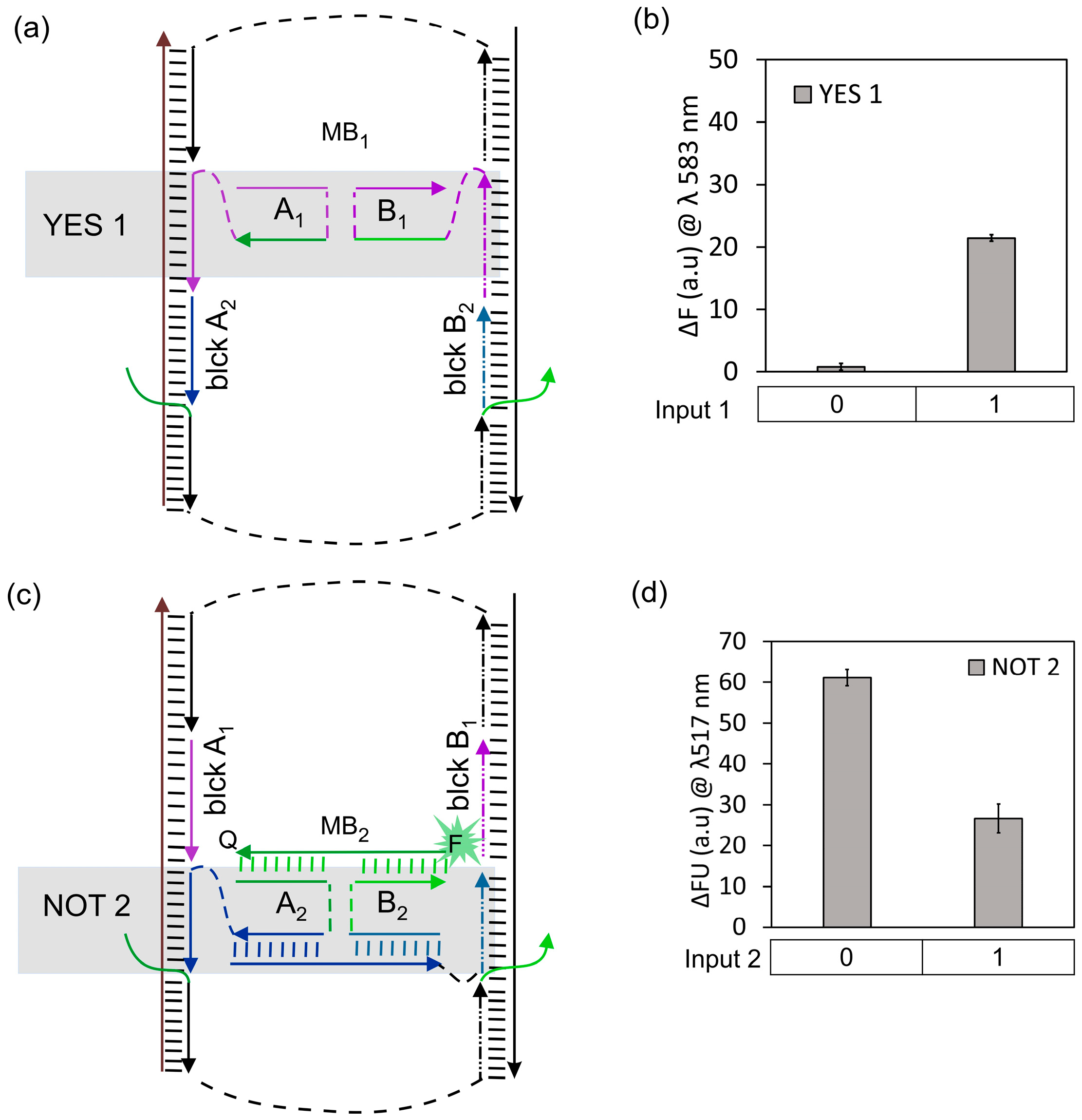 Nanomaterials 14 00600 g003