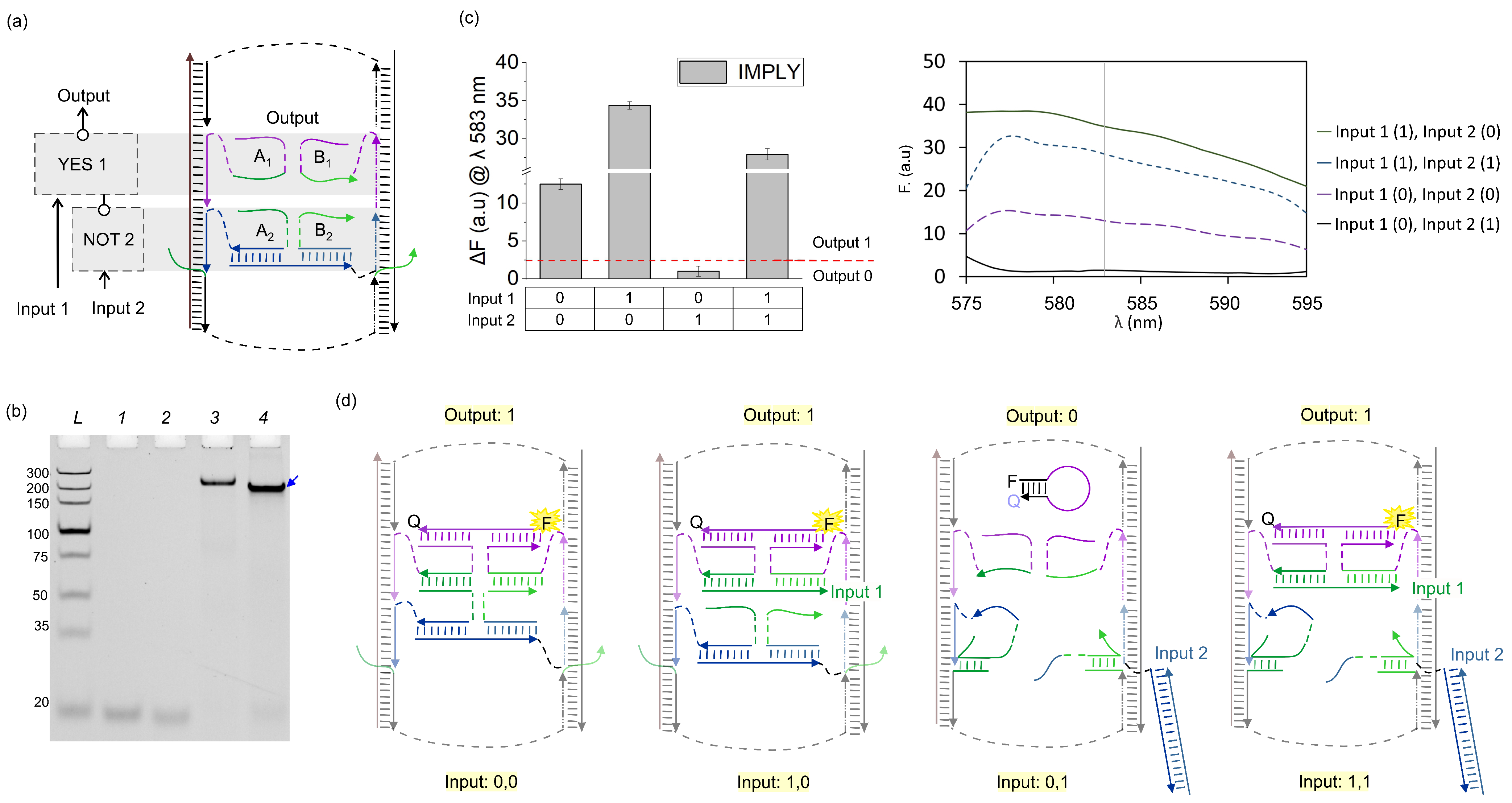 Nanomaterials 14 00600 g004