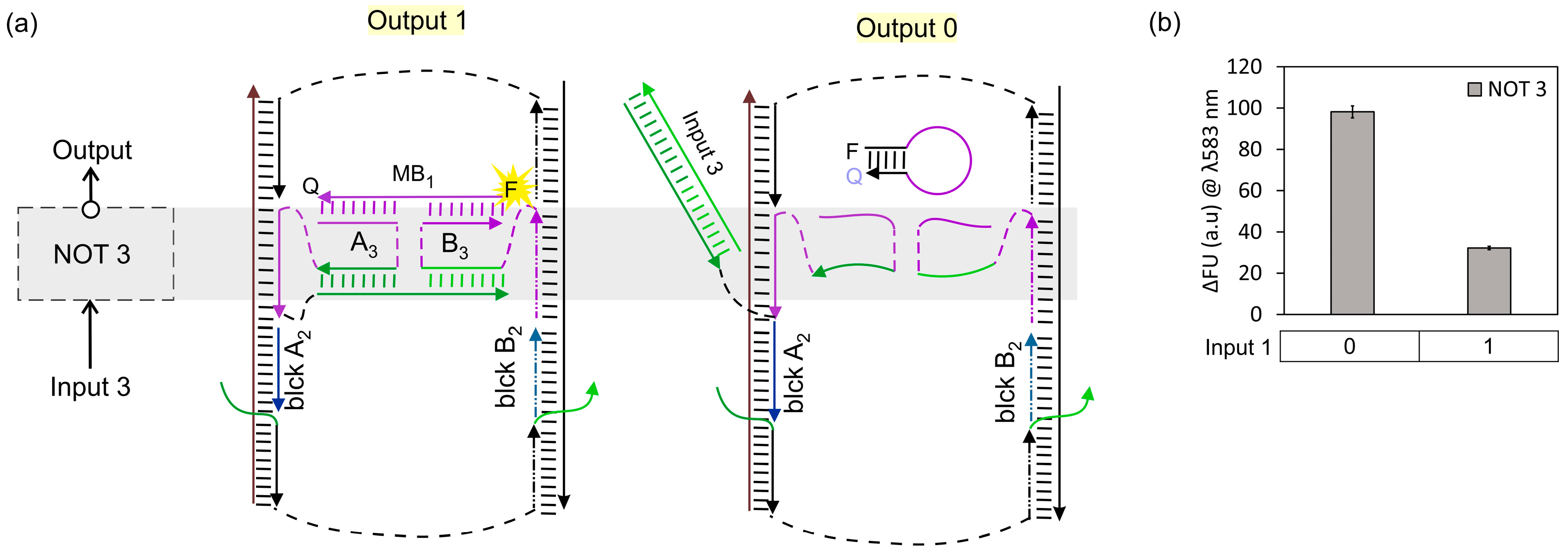 Nanomaterials 14 00600 g006