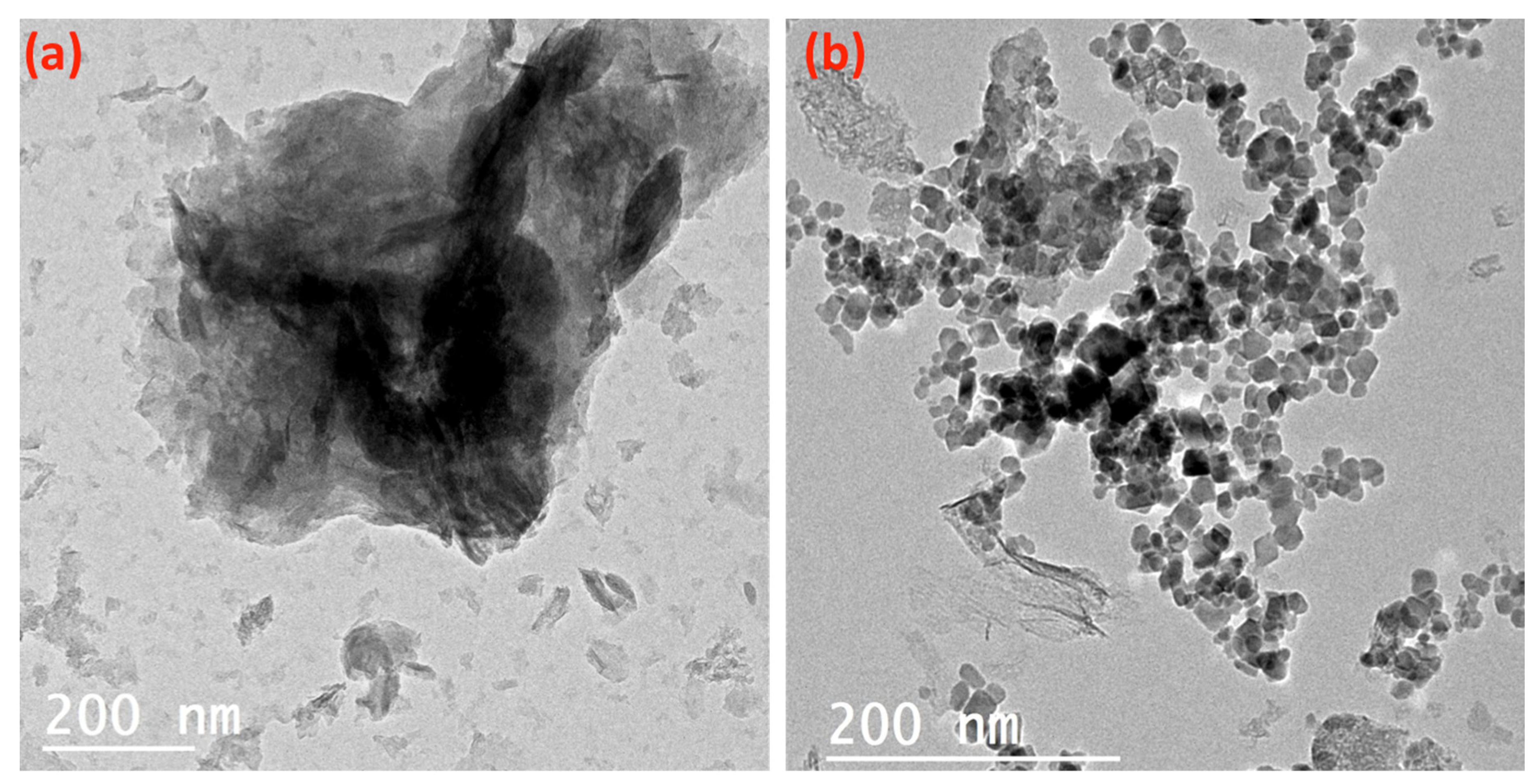 Nanomaterials 14 00604 g005