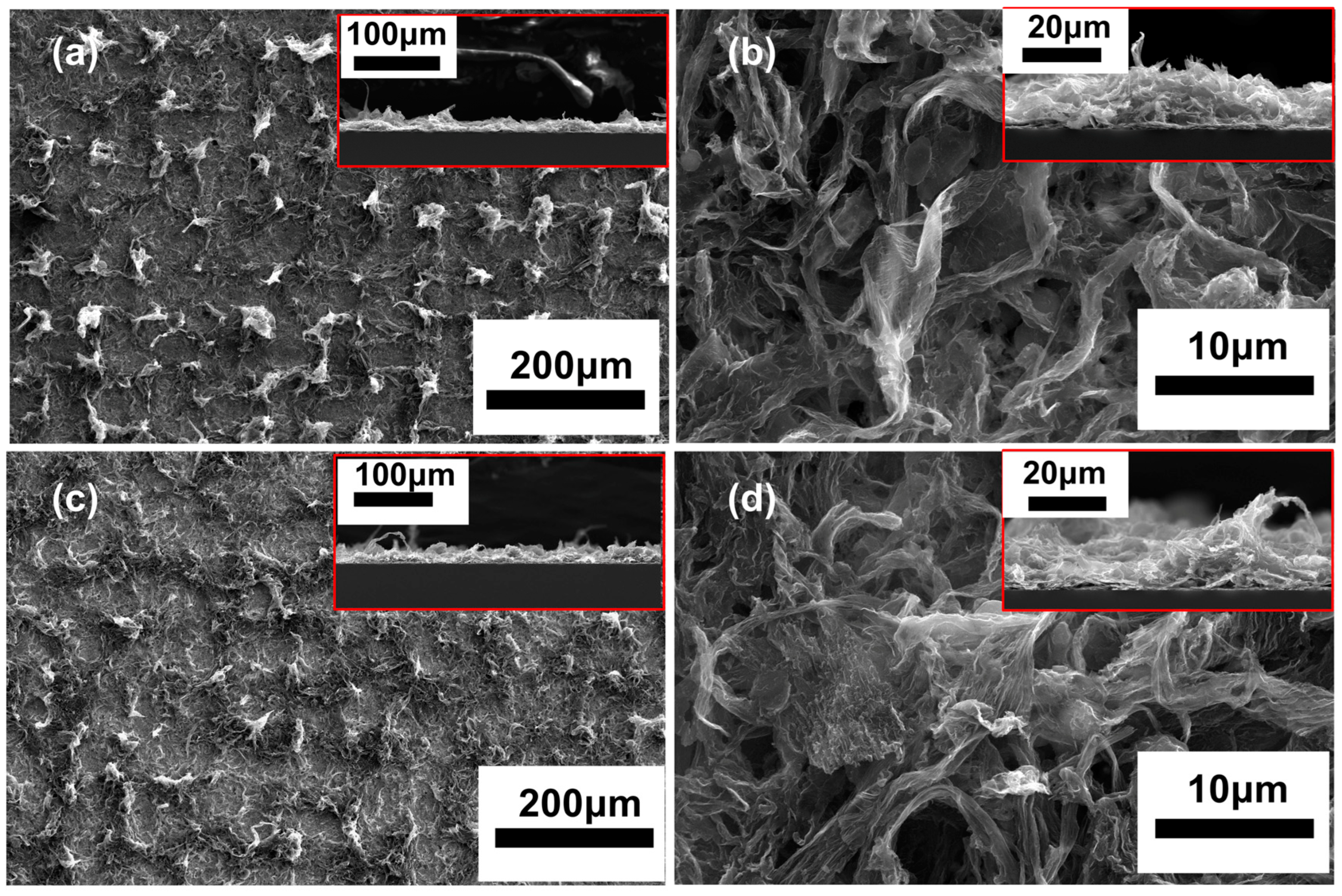 Nanomaterials 14 00613 g010