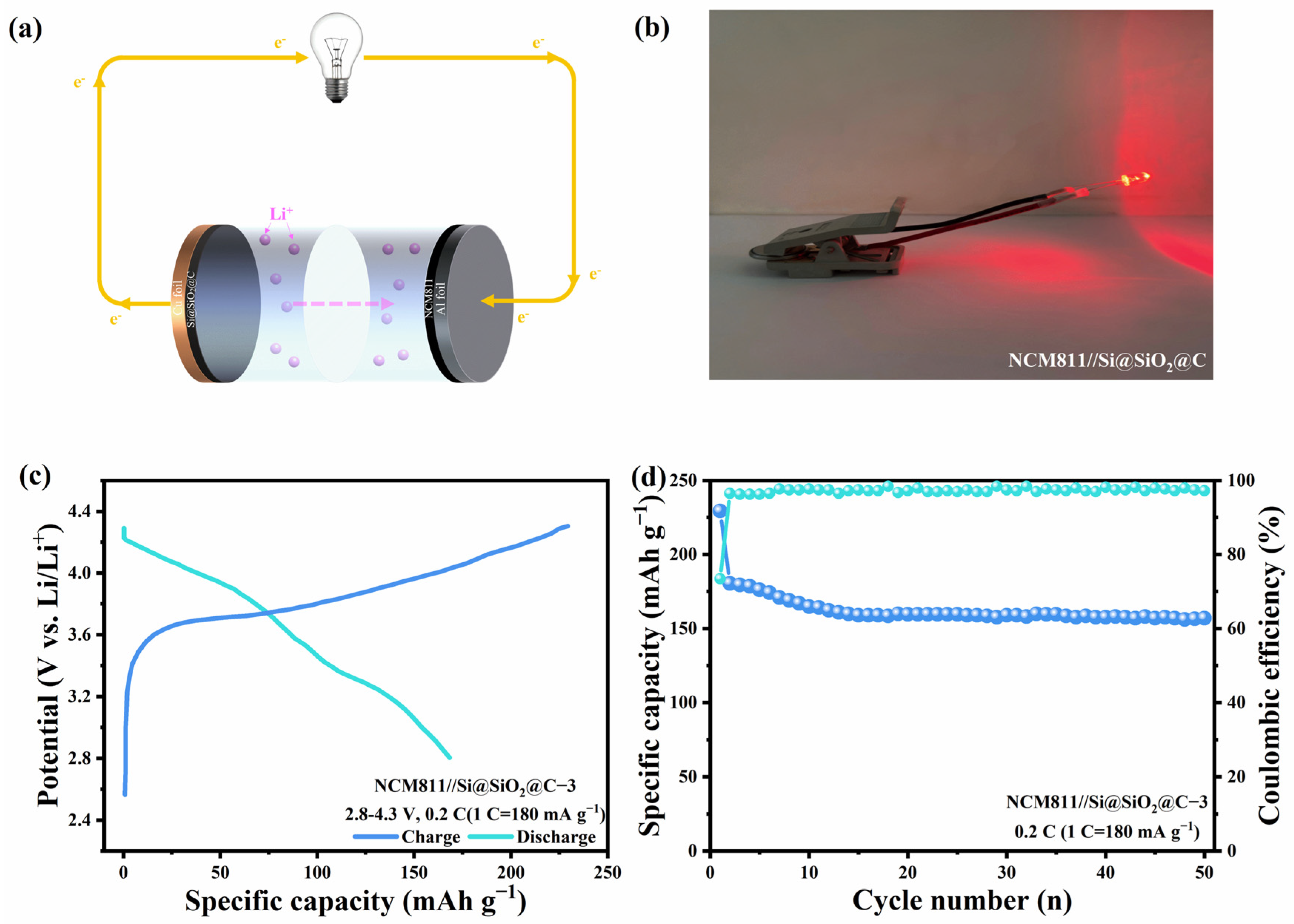 Nanomaterials 14 00625 g009